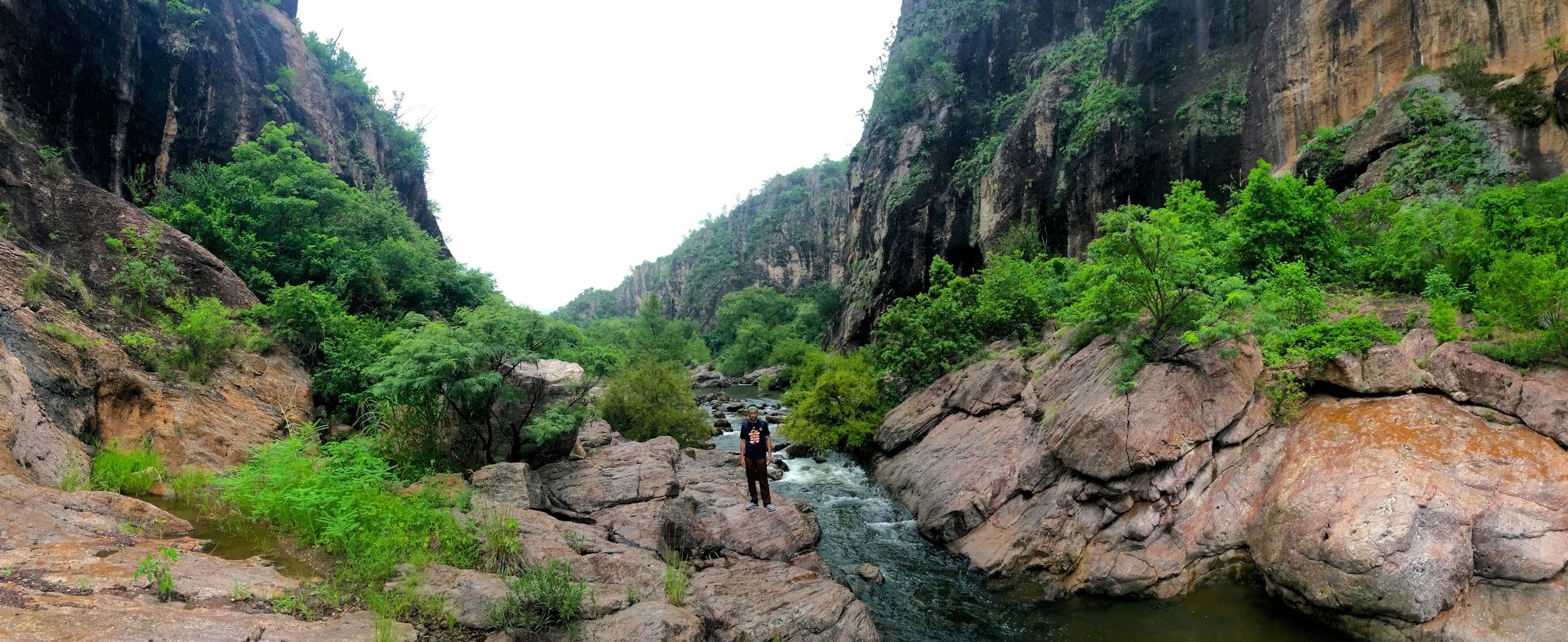 Saving a Mountain in Mexico