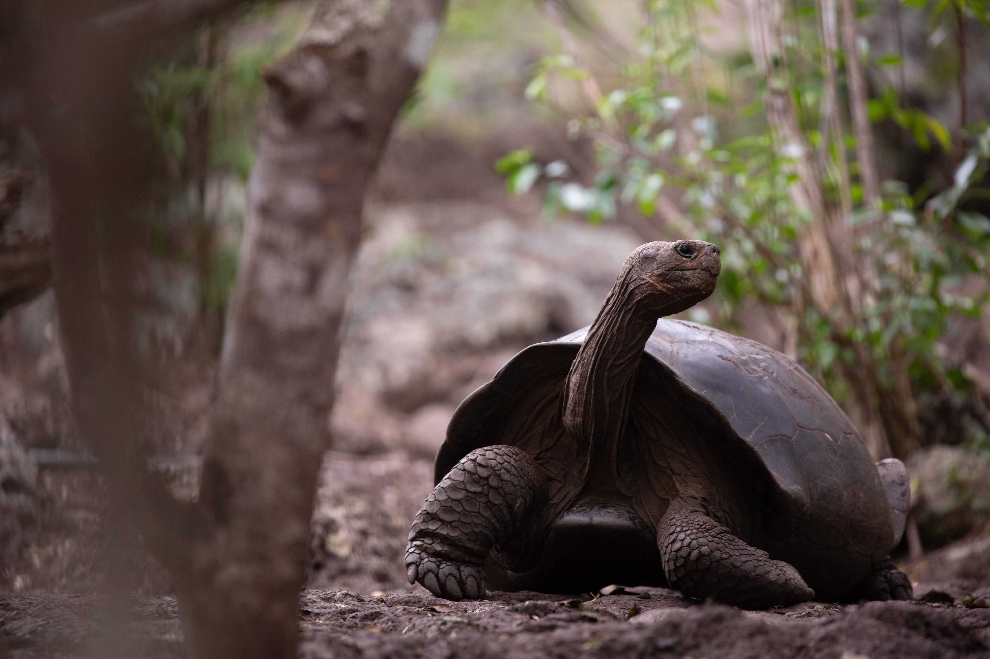 Galapagos Expedition