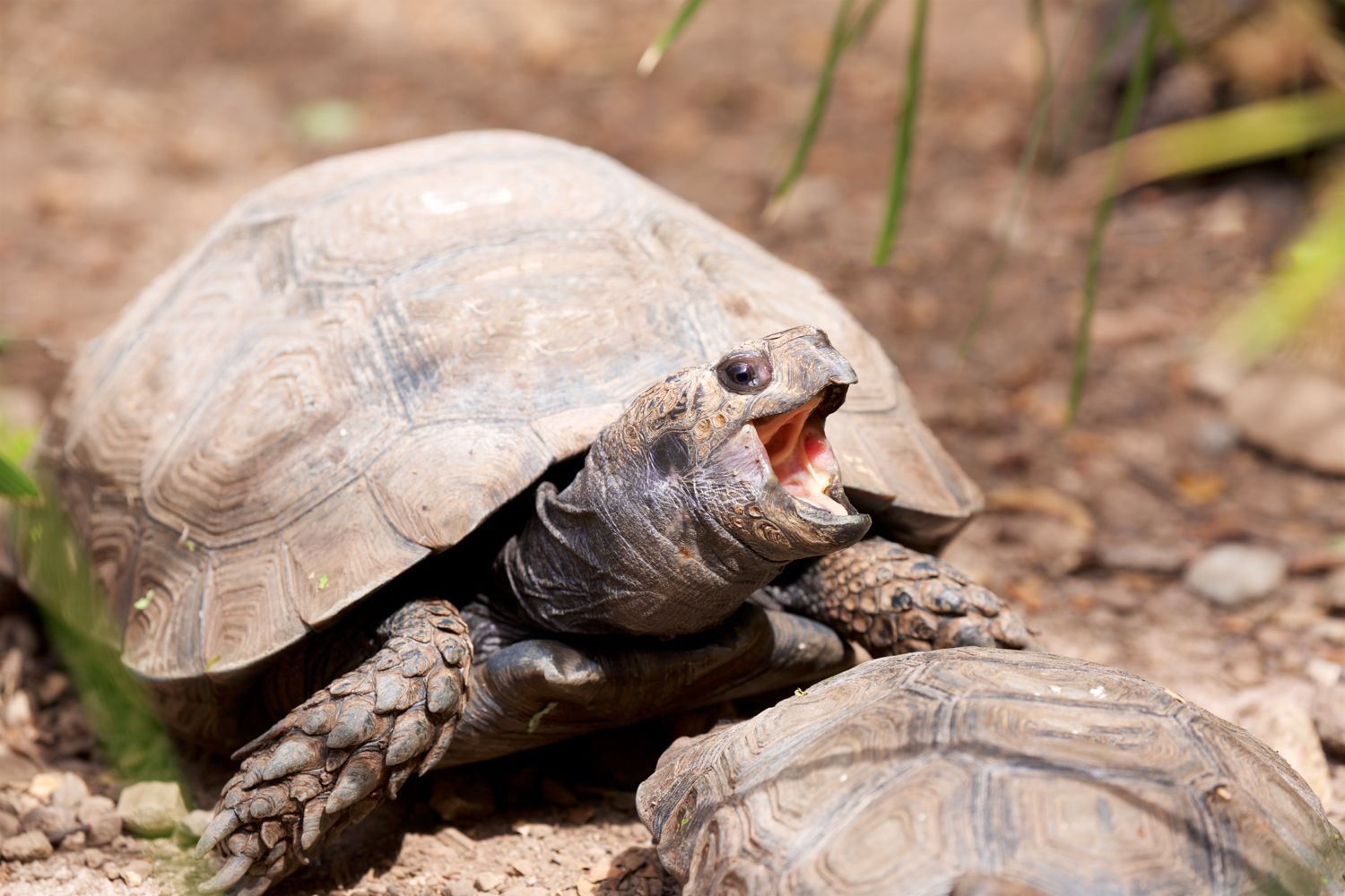 Conservation Center Updates