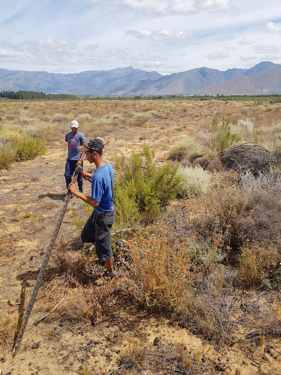 Geometric Tortoise Preserve Update