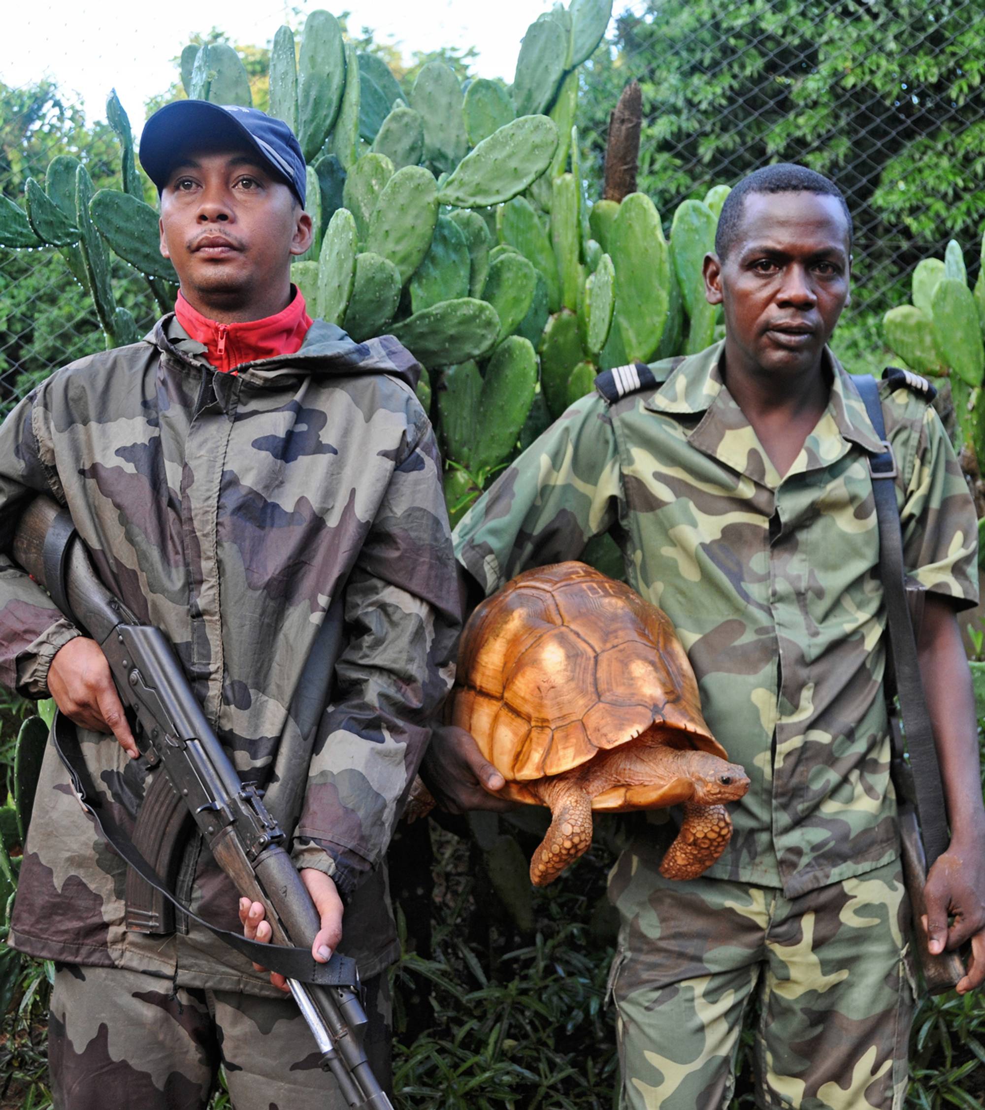 Ploughshare Tortoise Rewilding Initiative