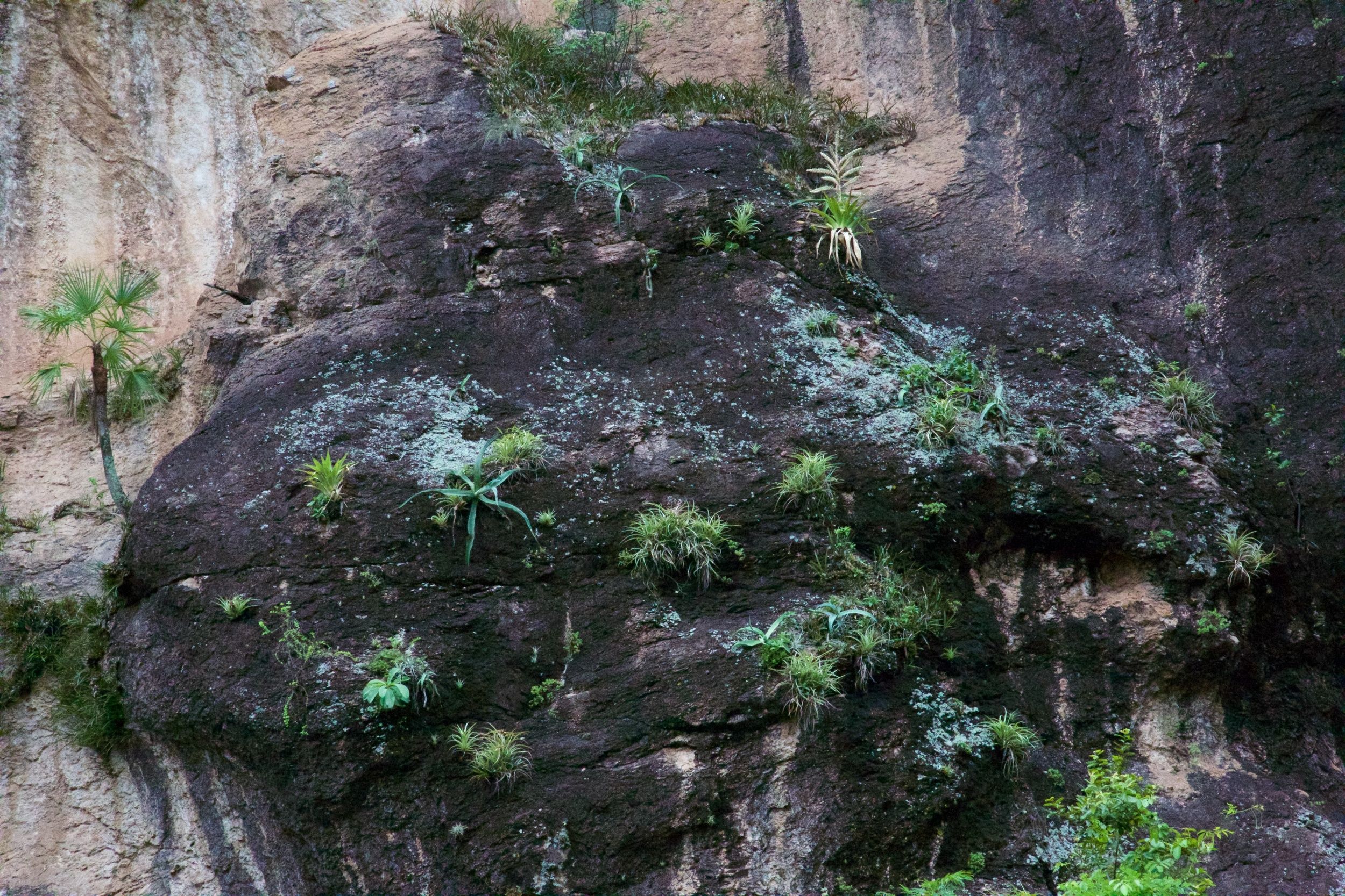 Saving a Mountain in Mexico