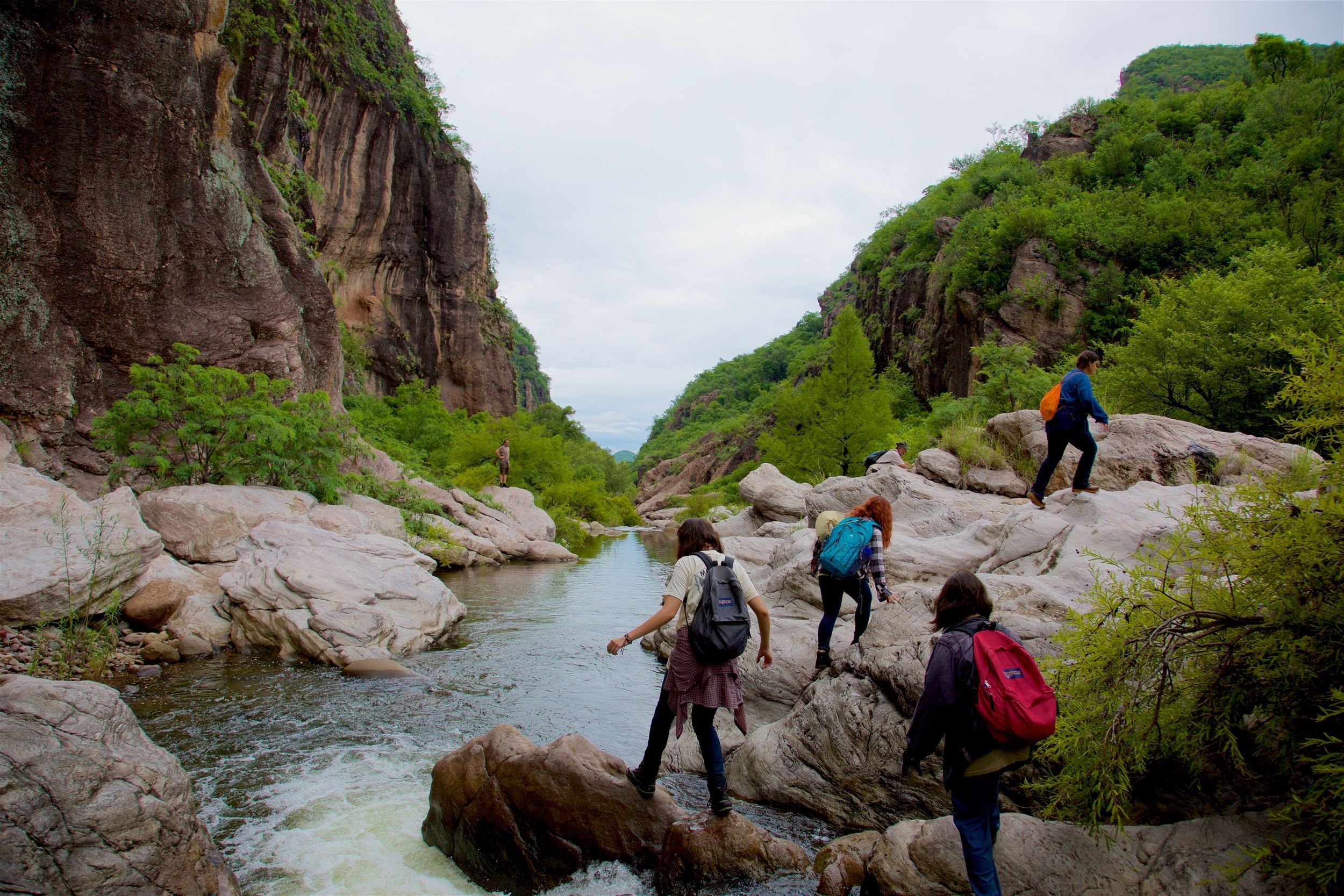 Saving a Mountain in Mexico