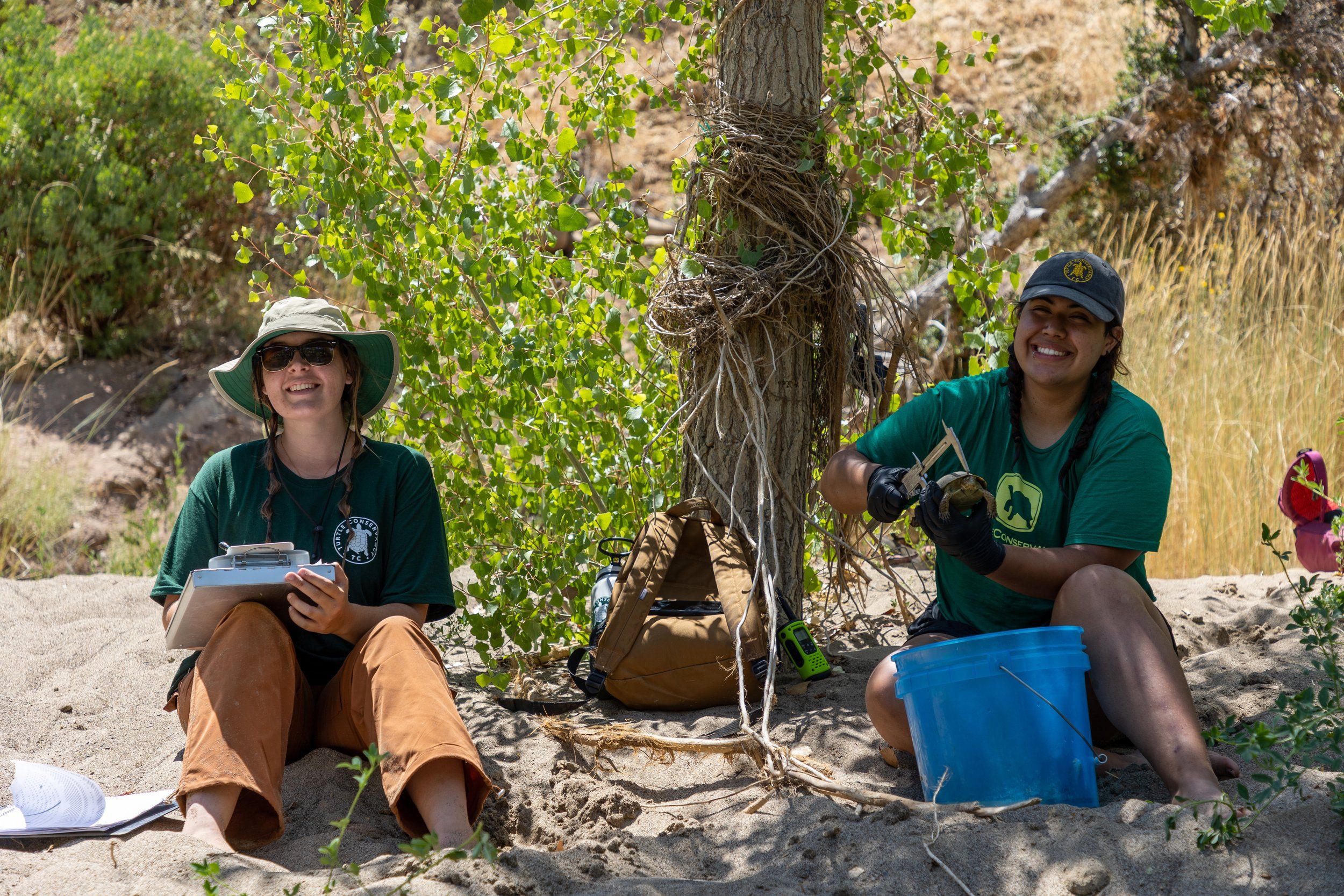 2023 Southern Pacific Pond Turtle Field Season Recap