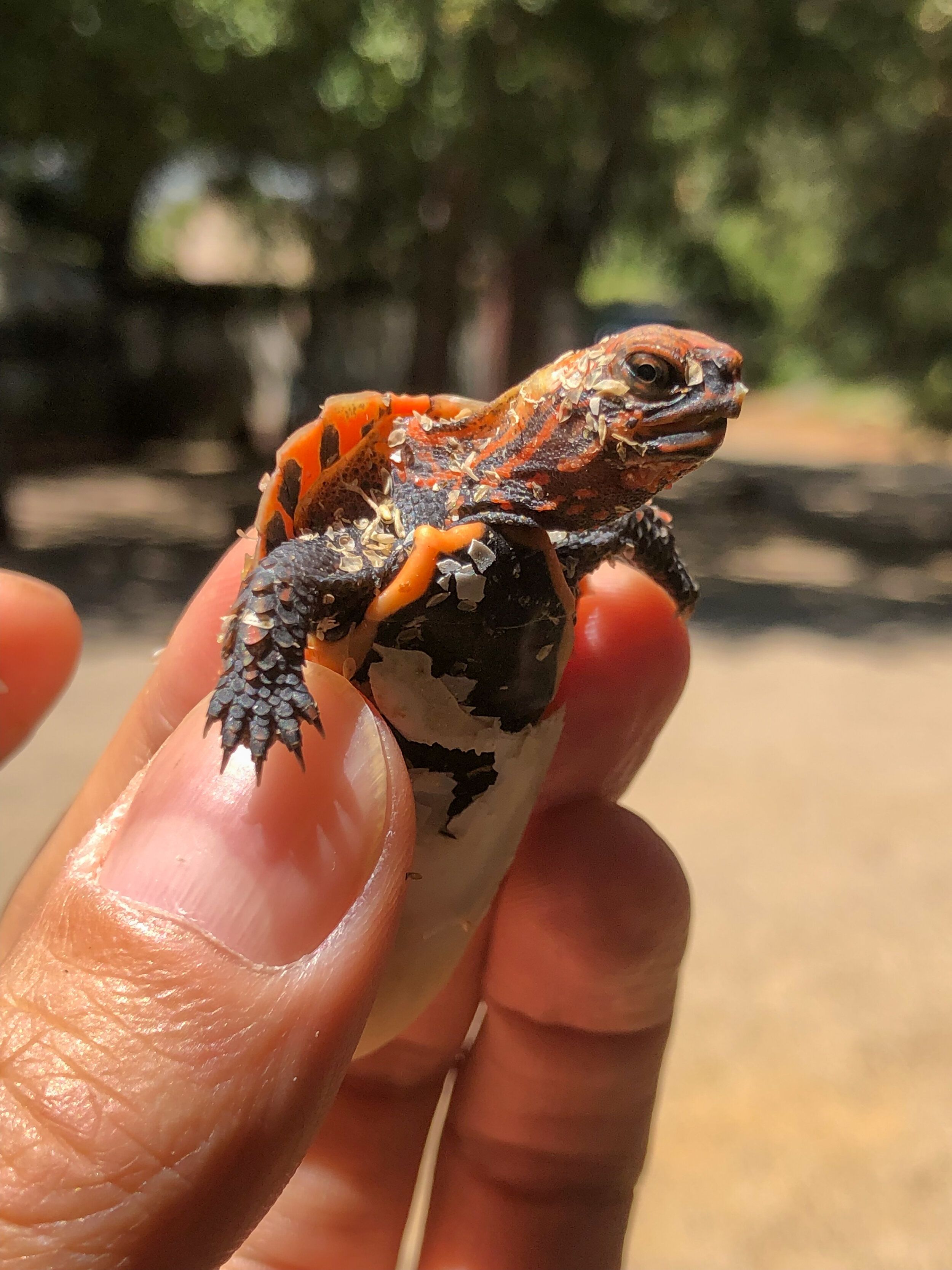 Conservation Center Updates