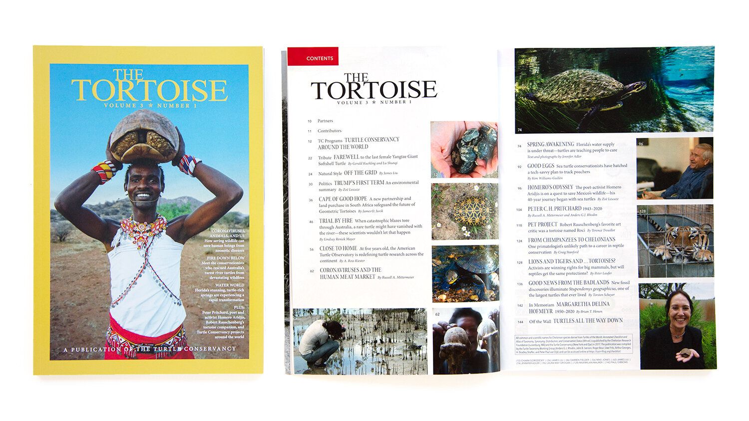 The Tortoise Issue 9