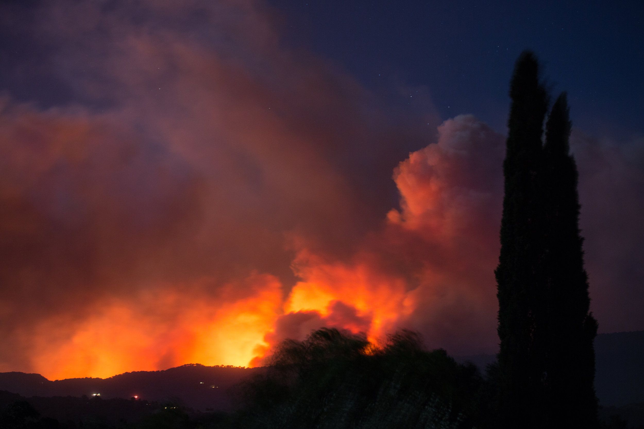 Thomas Fire Relief Effort