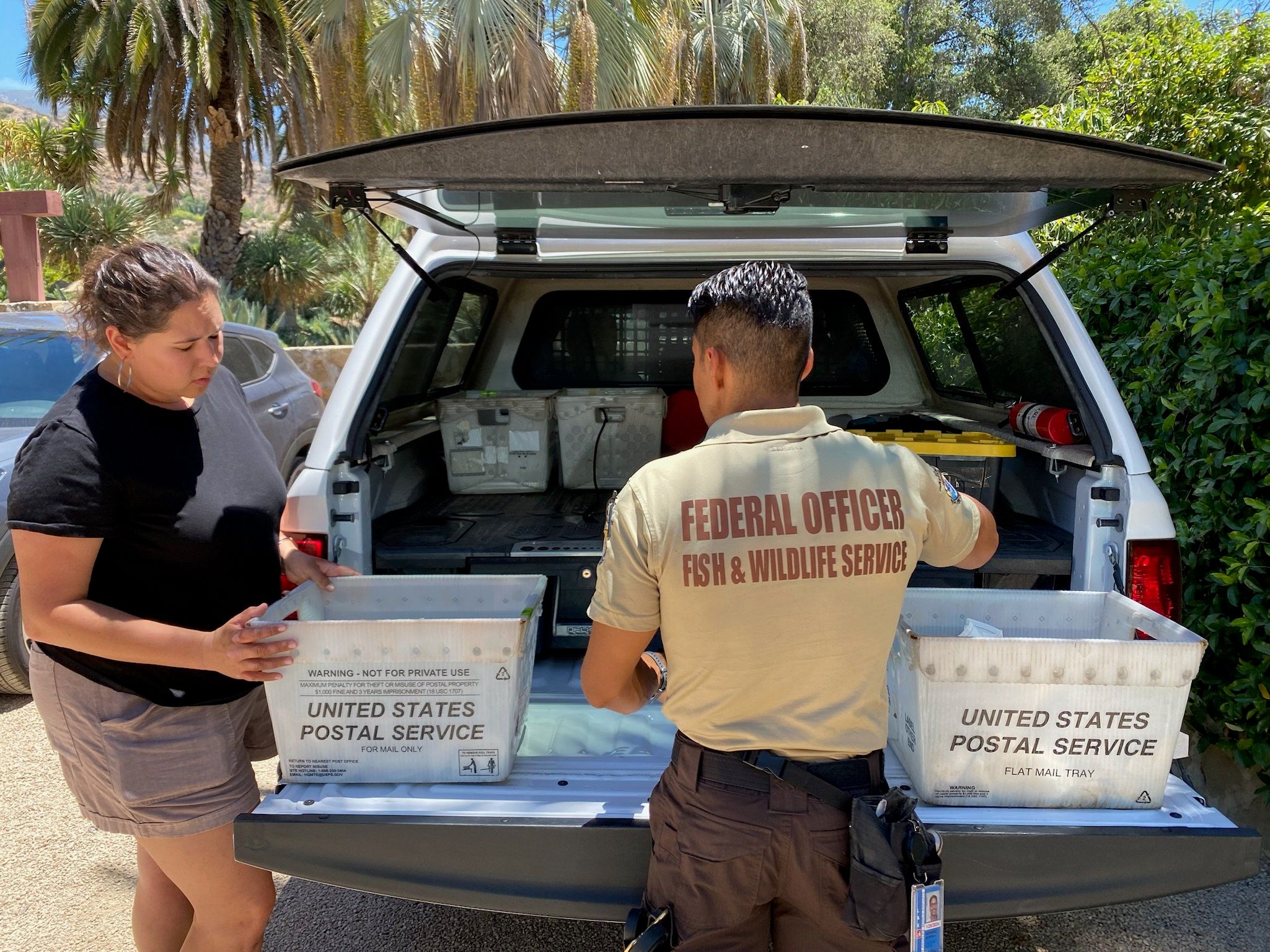 Poached Turtles Returned Home