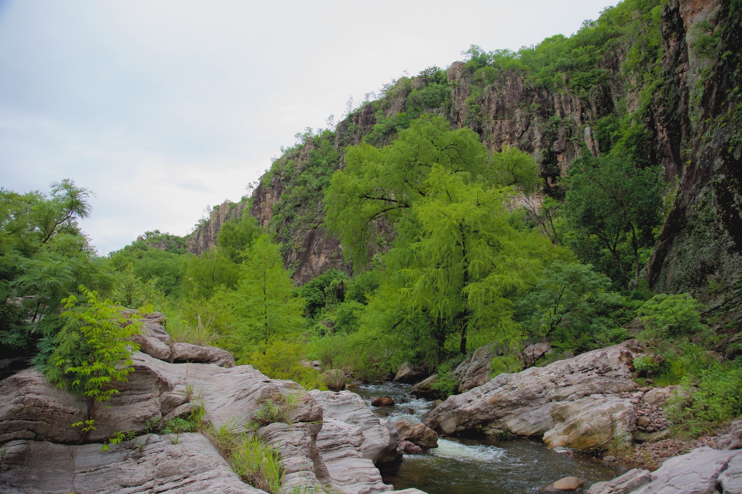 Saving a Mountain in Mexico