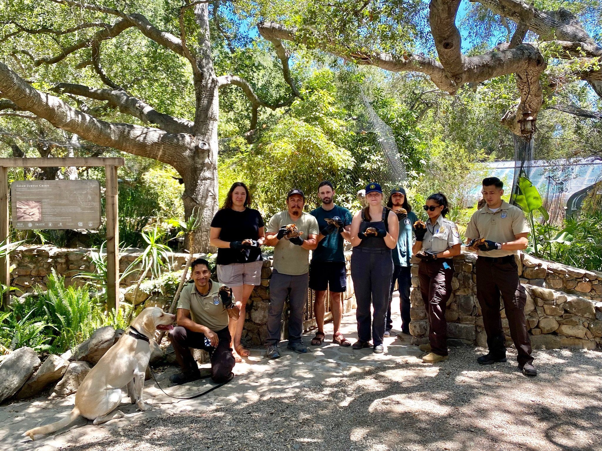 Poached Turtles Returned Home