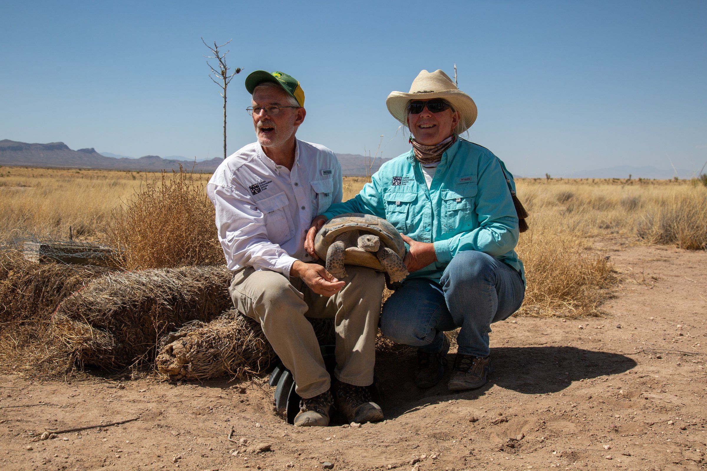 Ted Turner Saves Tortoises