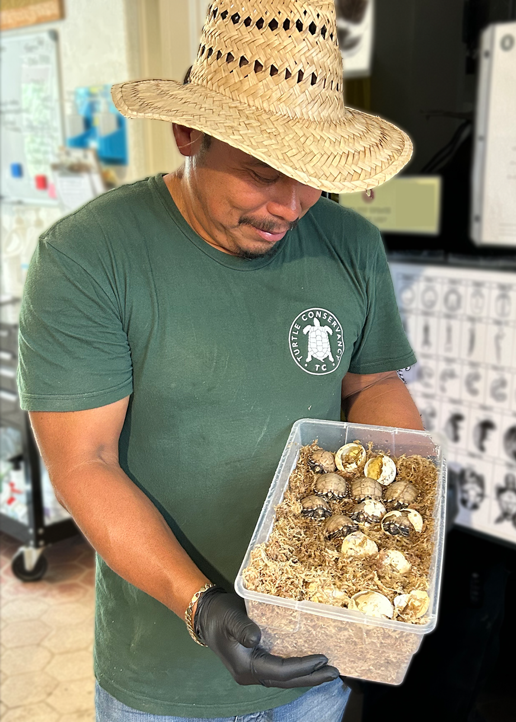 Impressed Tortoises Hatch at the Turtle Conservancy