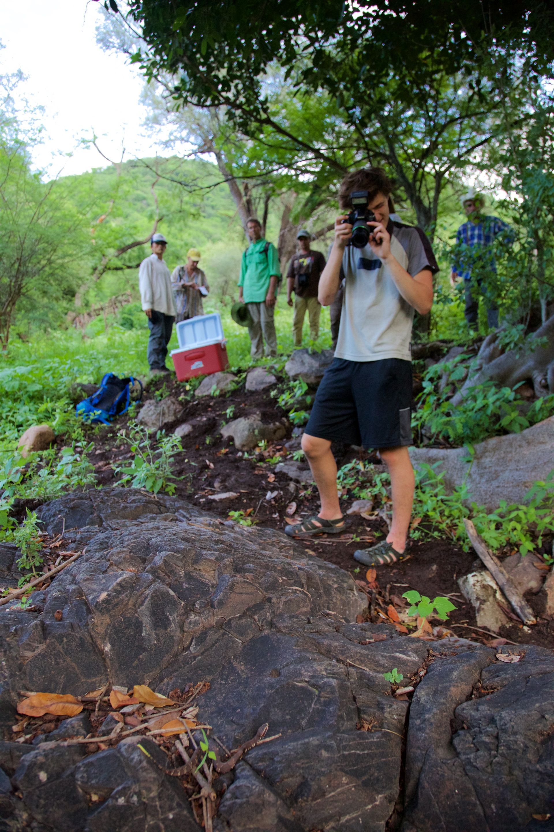 Saving a Mountain in Mexico