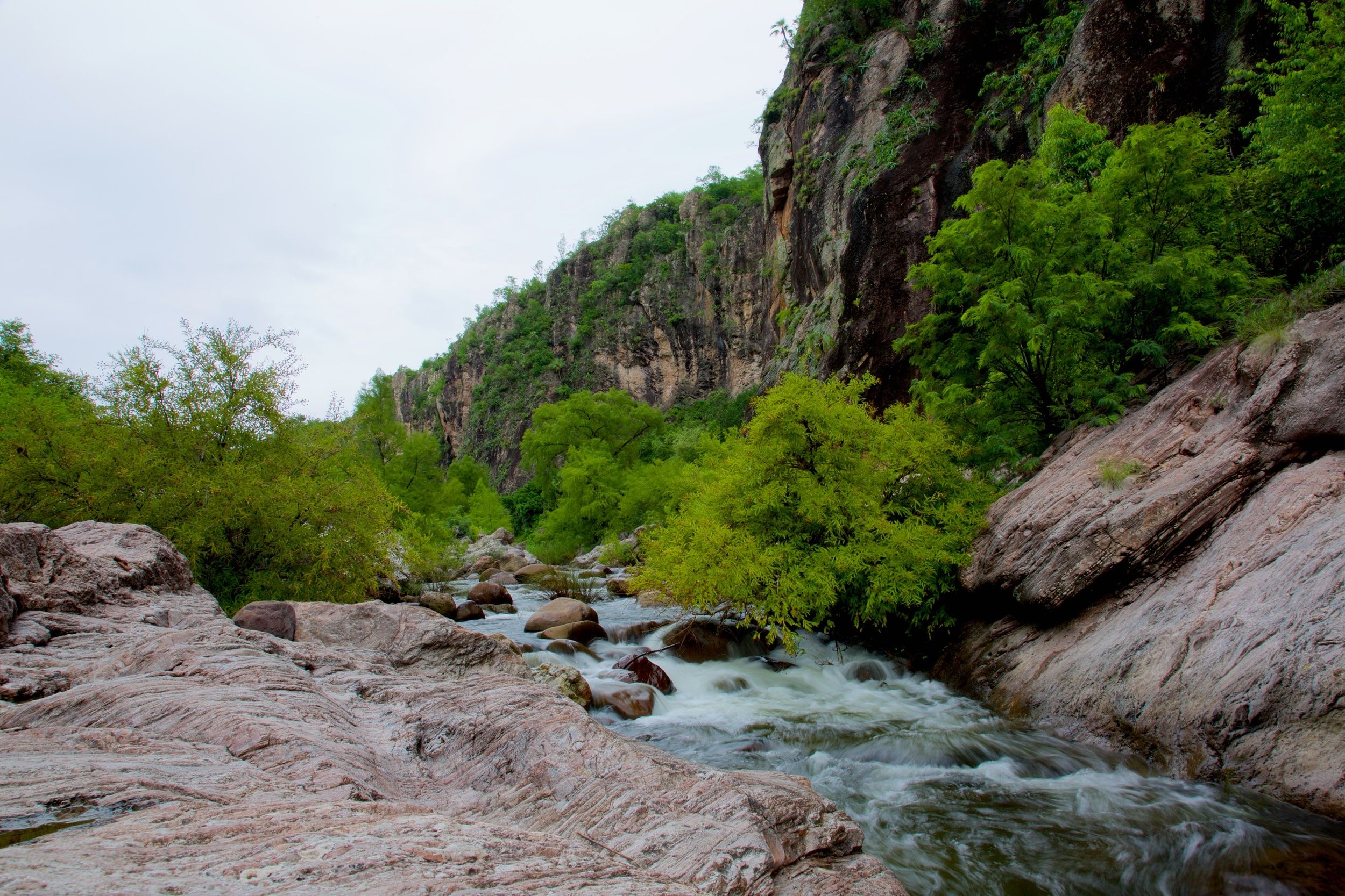 Saving a Mountain in Mexico