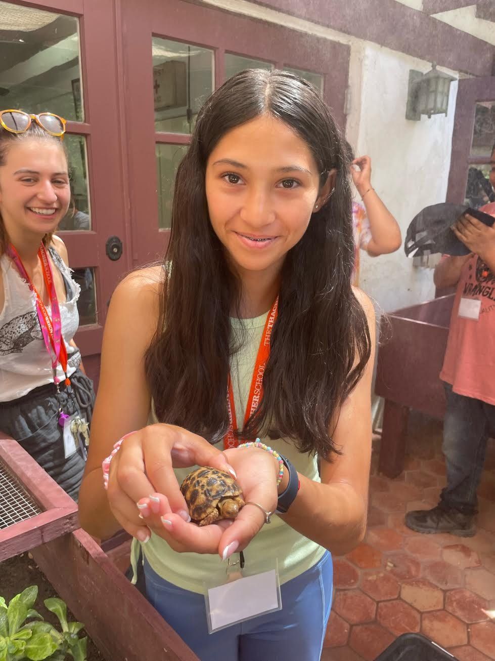 A Look Inside Turtle Camp