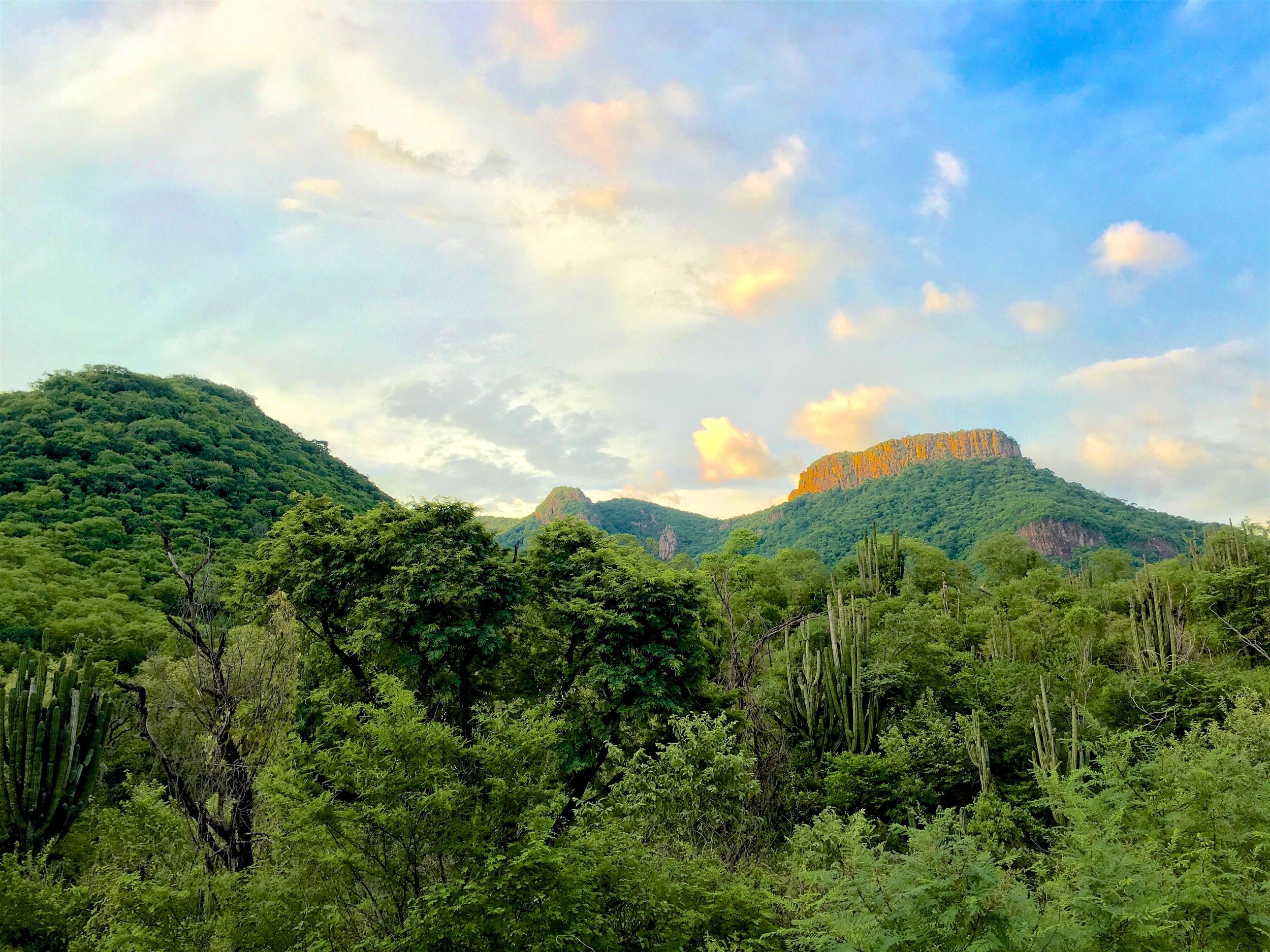 Saving a Mountain in Mexico