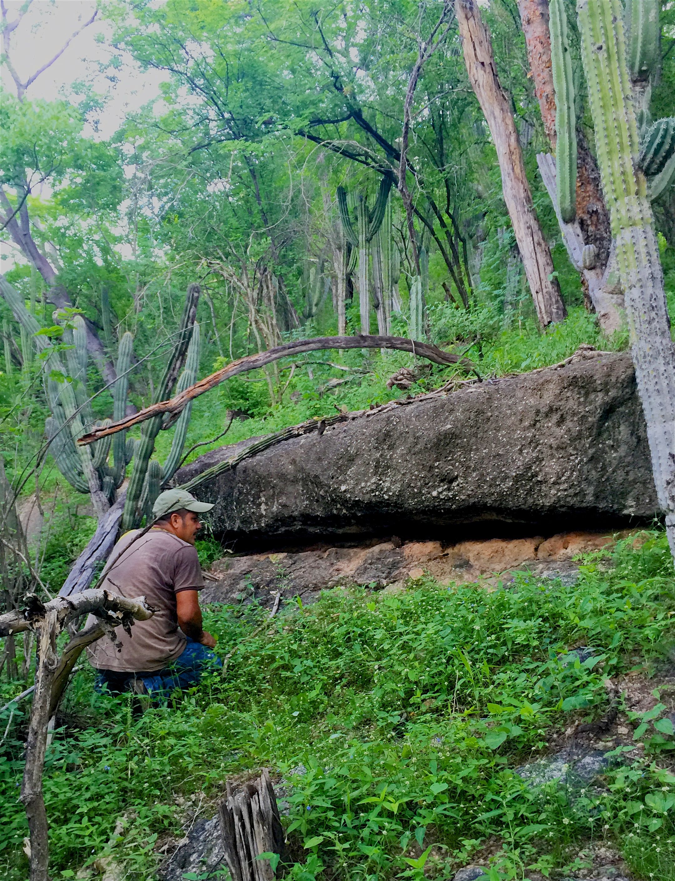 Saving a Mountain in Mexico