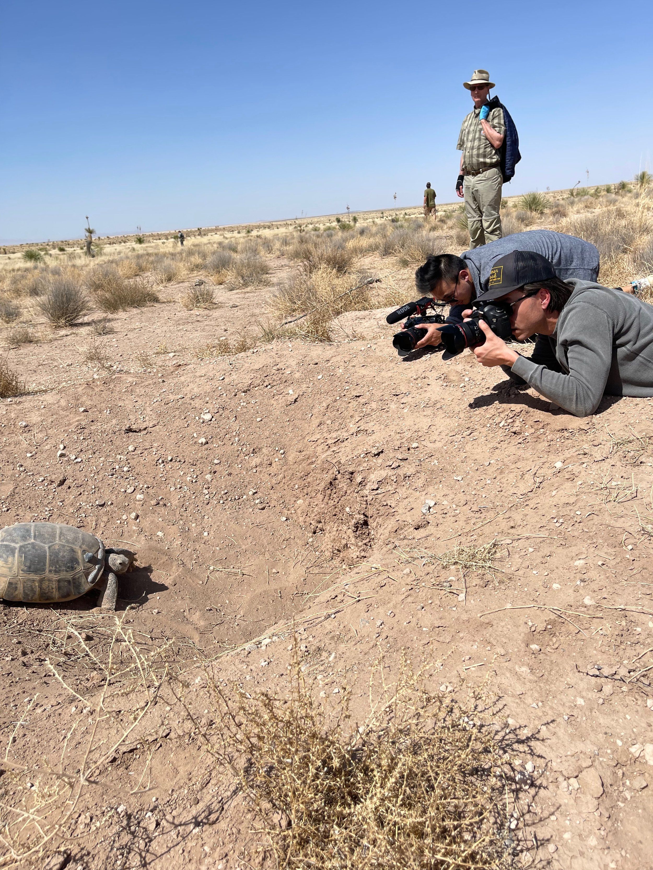 Ted Turner Saves Tortoises