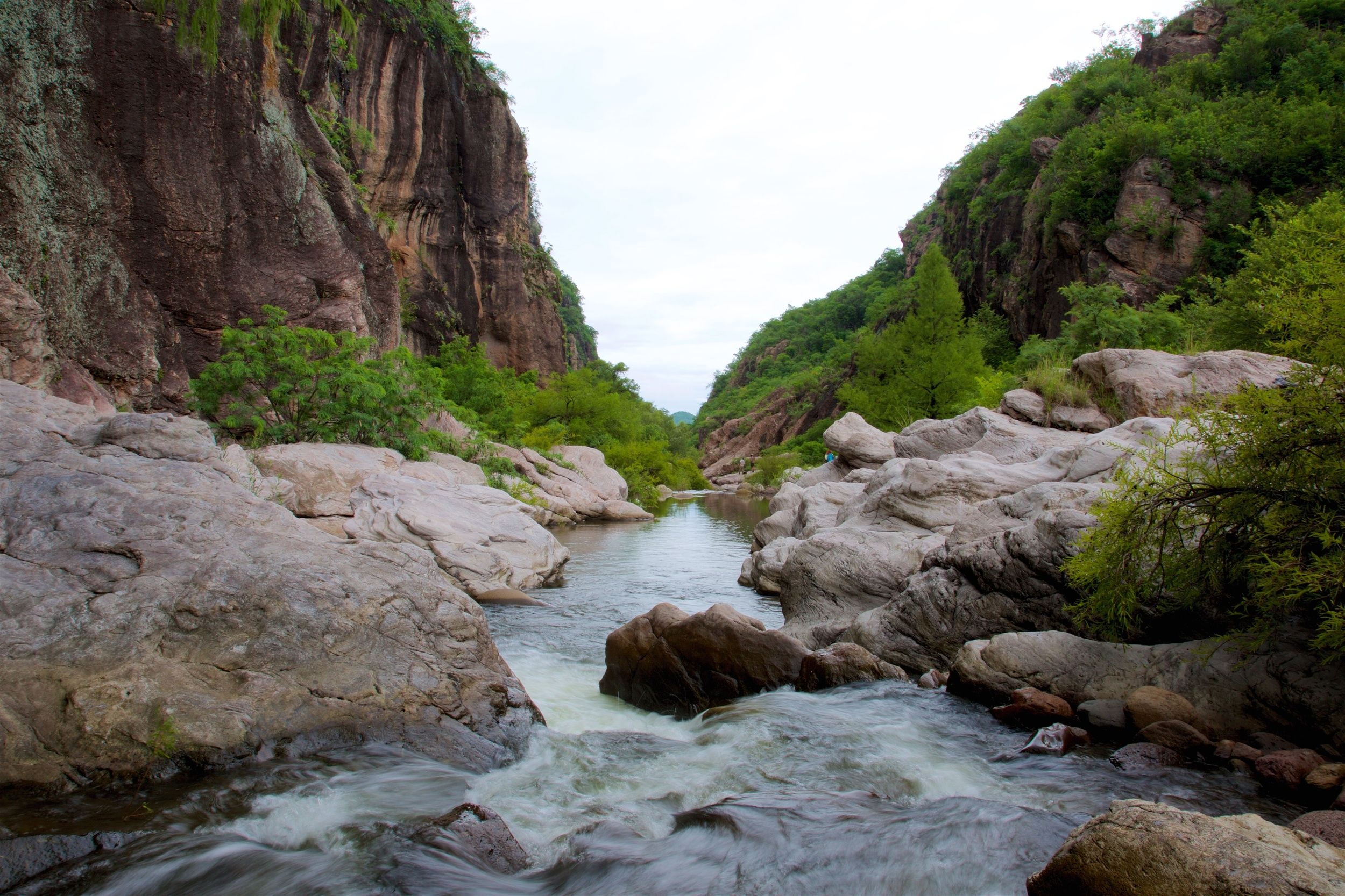 Saving a Mountain in Mexico