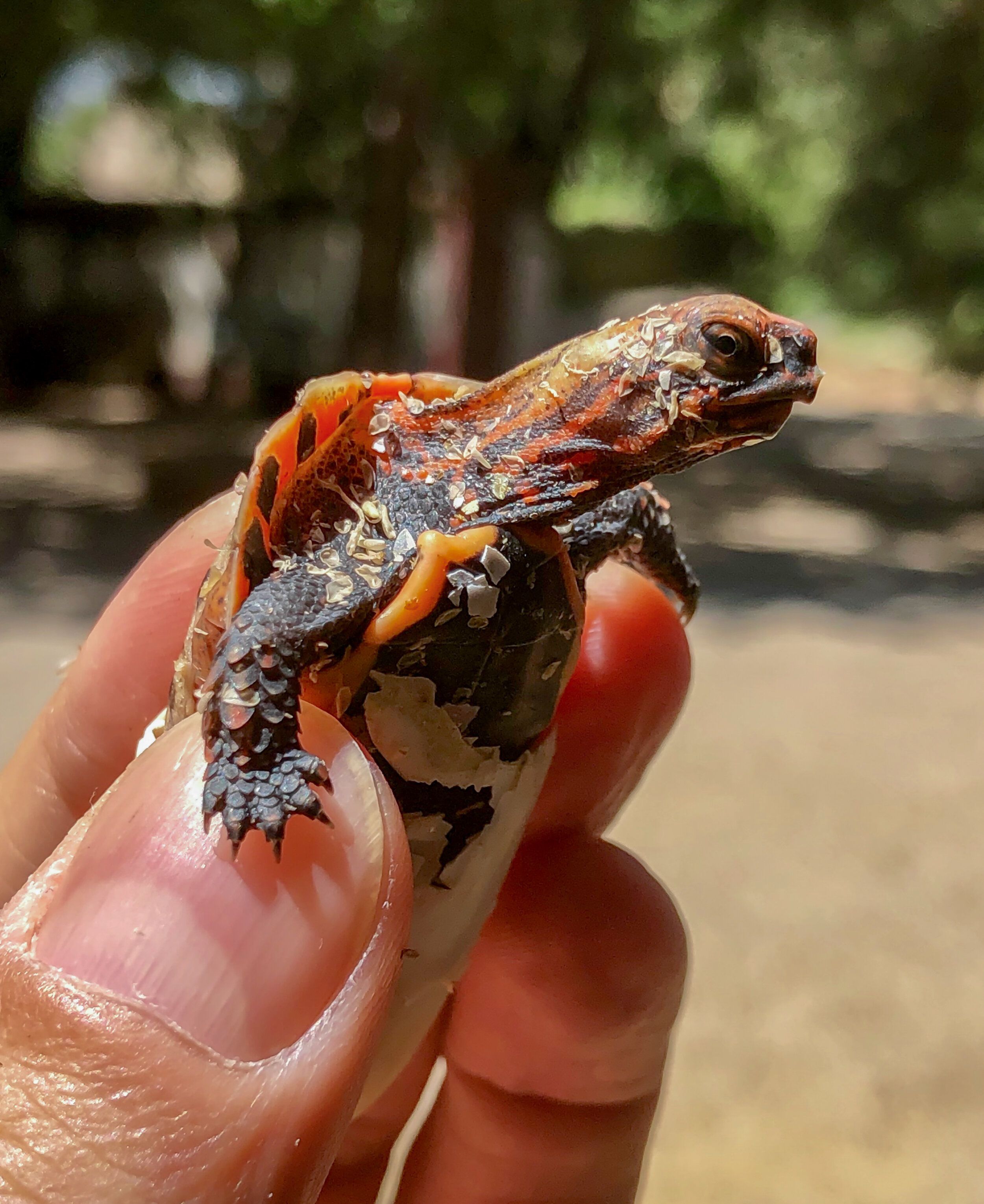 Conservation Center Updates