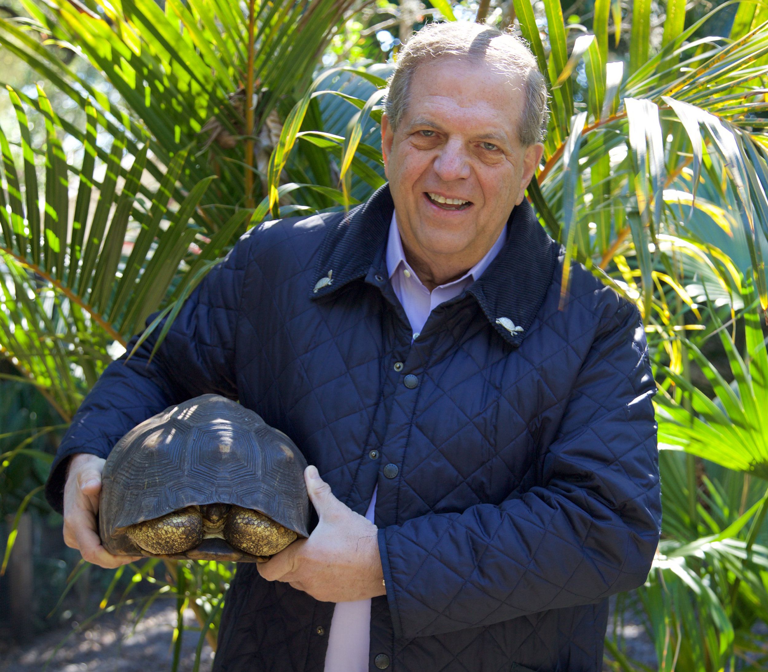 Stuart Salenger Creates Radiated Tortoise Assurance Colony