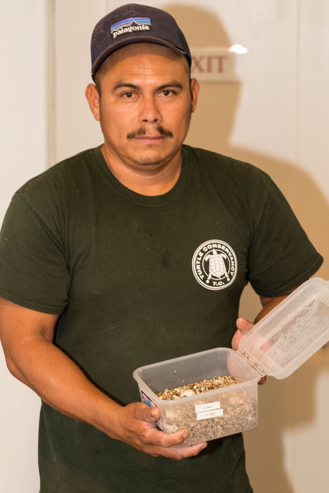 First Hatching of Second Generation Pan's Box Turtles in the United States