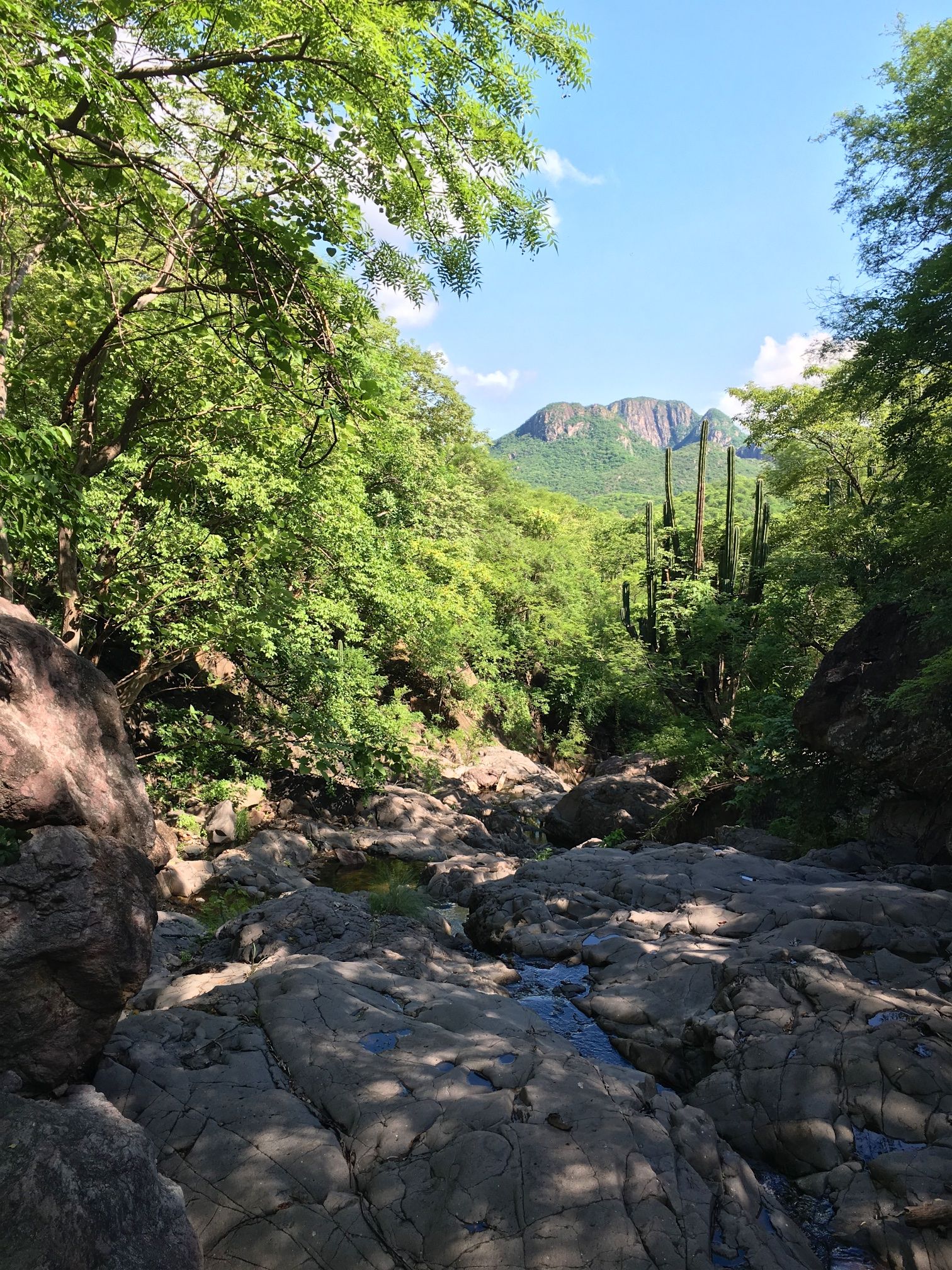 Saving a Mountain in Mexico