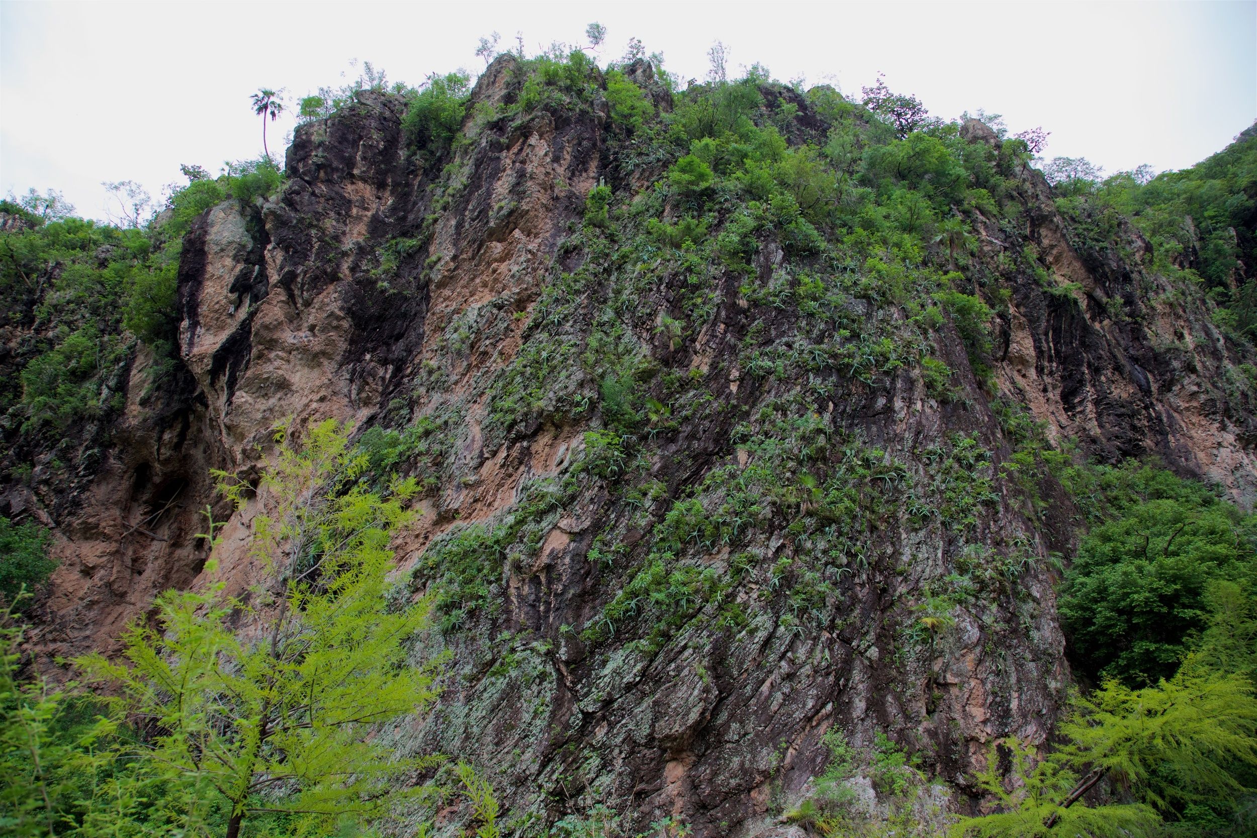 Saving a Mountain in Mexico