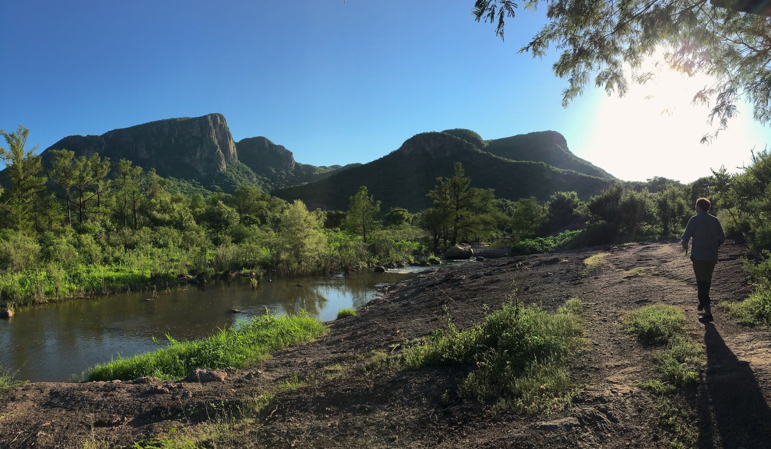 Saving a Mountain in Mexico