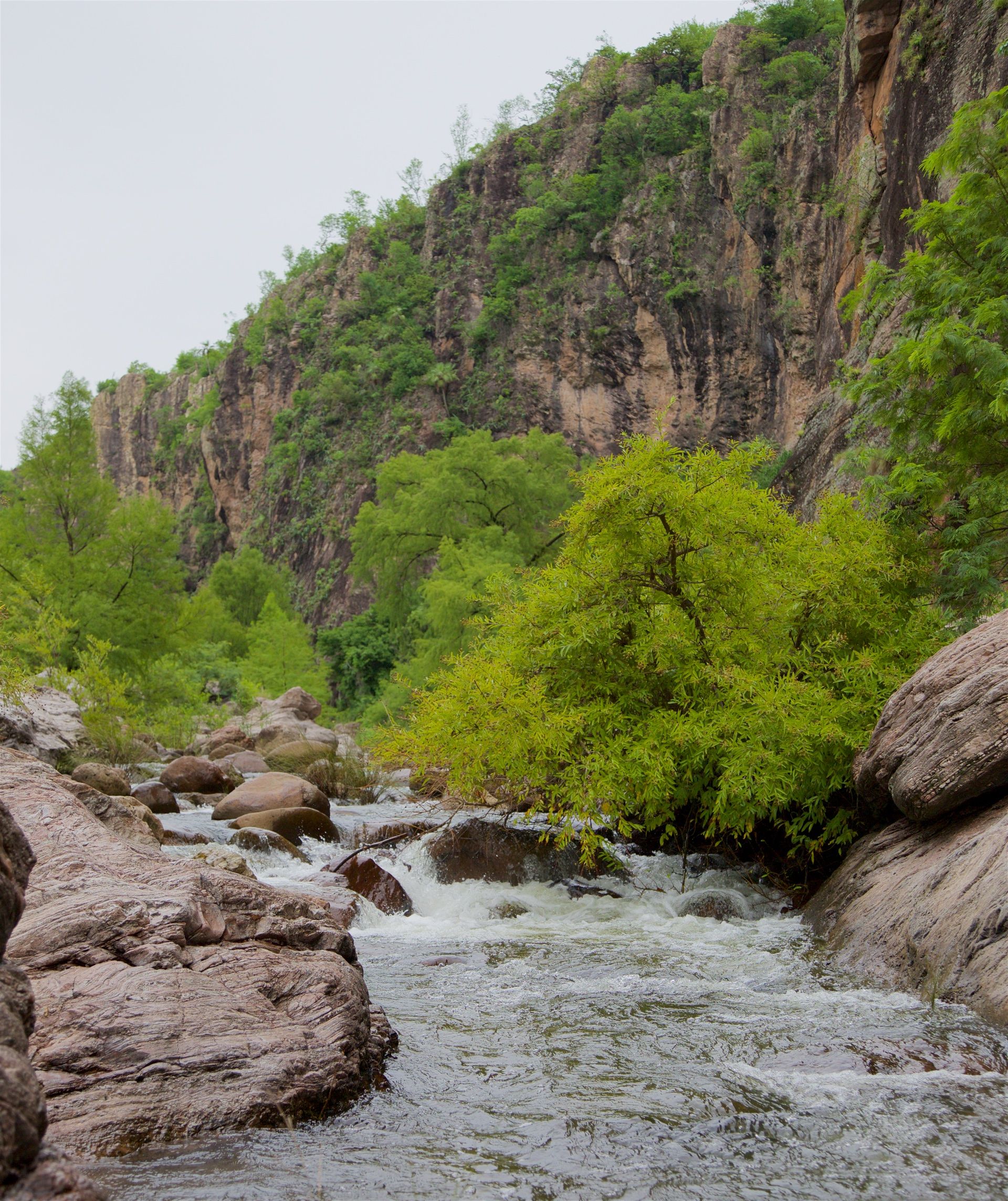 Saving a Mountain in Mexico