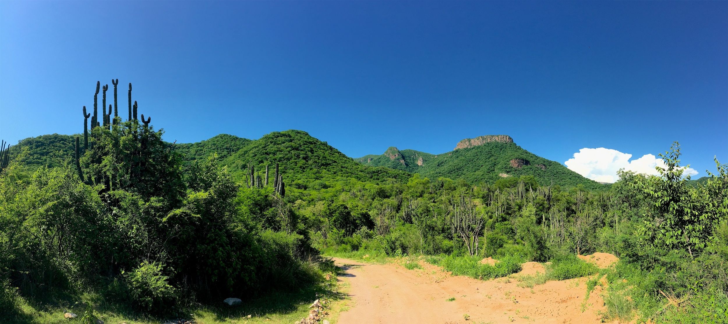 Saving a Mountain in Mexico