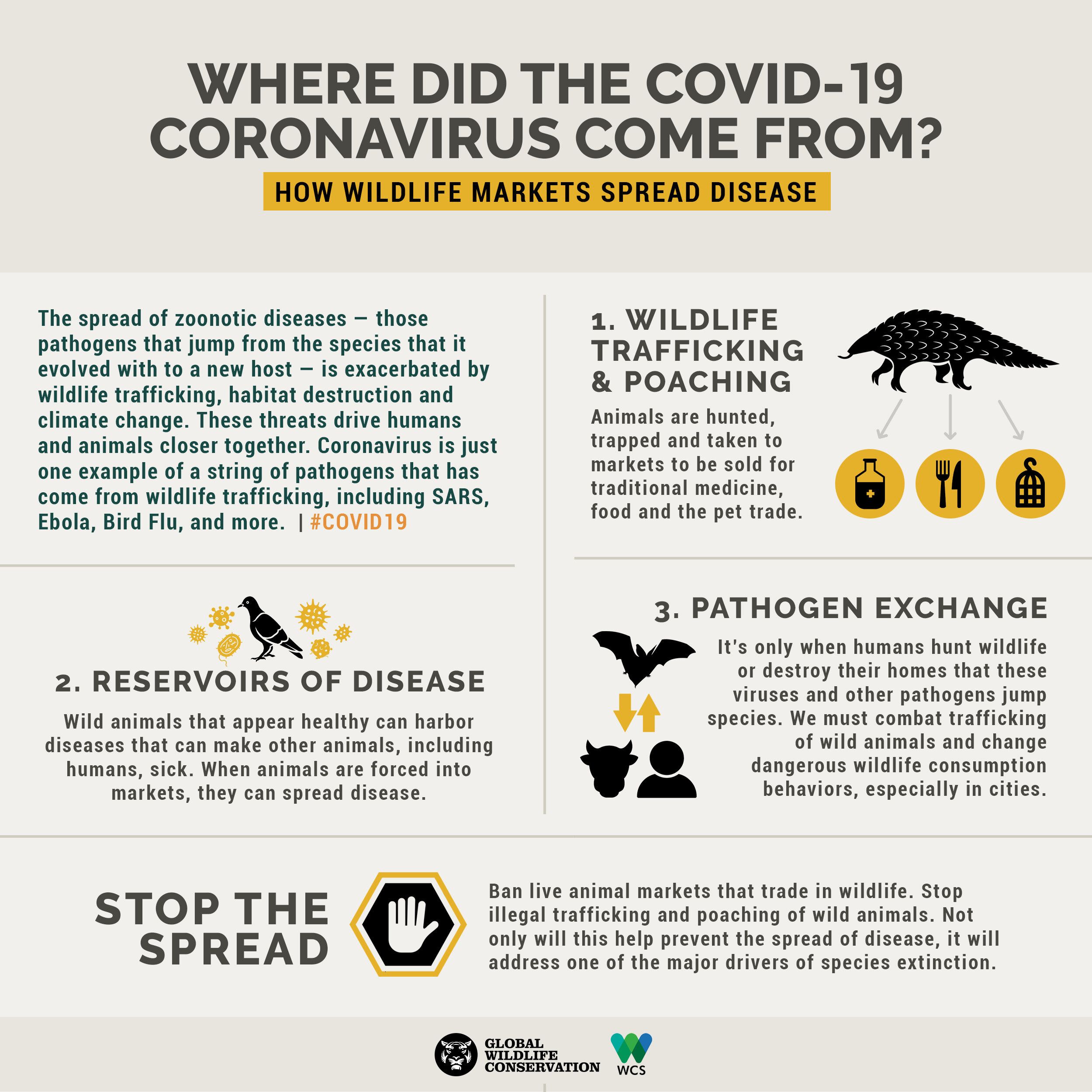 Mother Nature’s Revenge: COVID-19