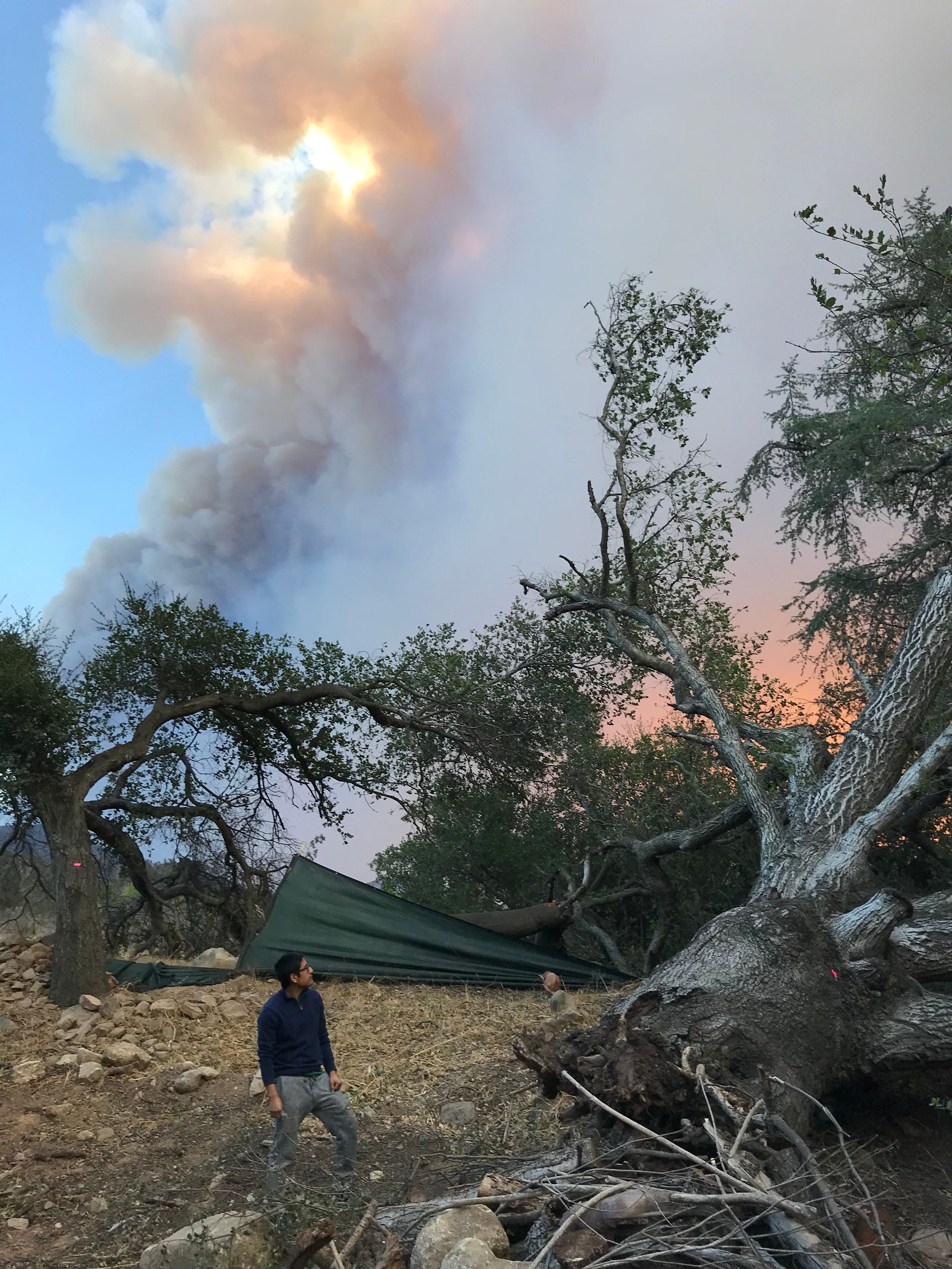 Thomas Fire Relief Effort