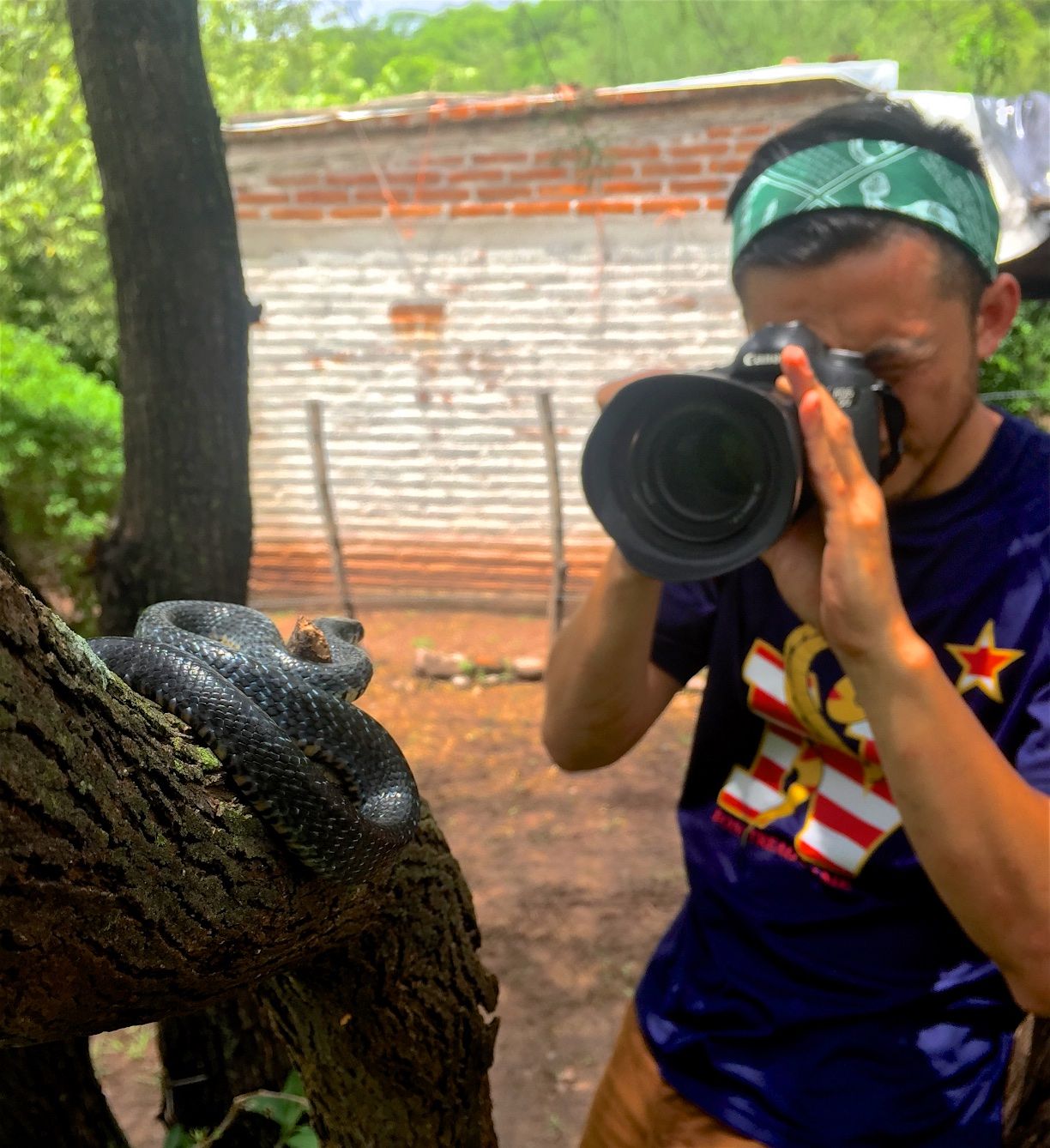 Saving a Mountain in Mexico