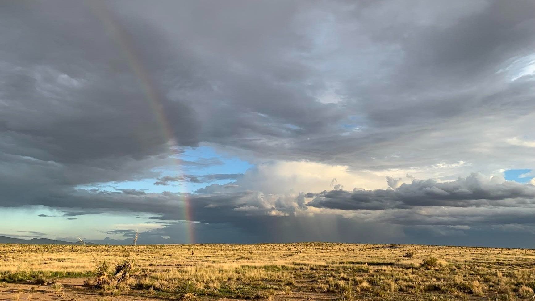 Endangered Tortoises Released On New Mexico Ranch