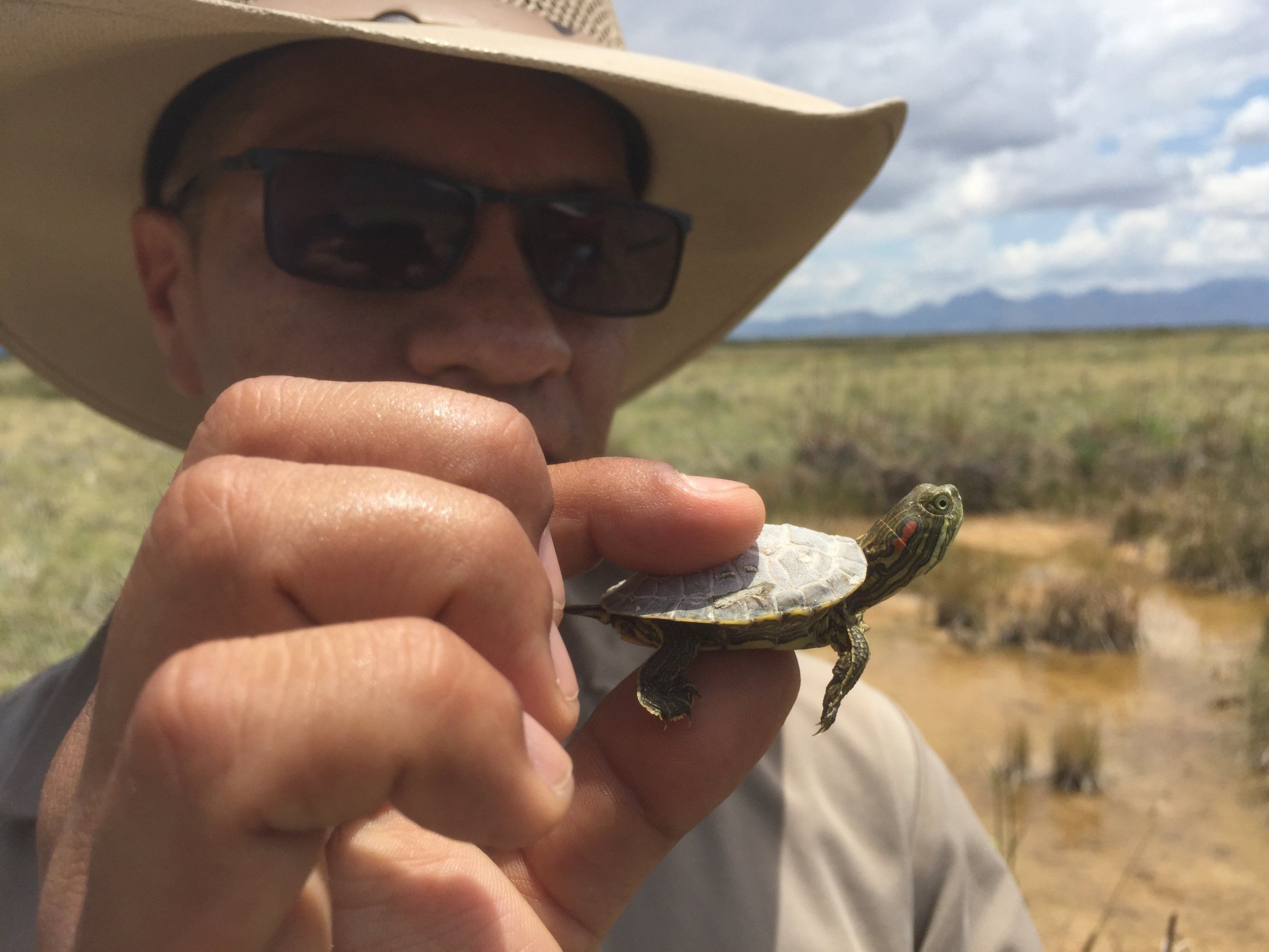 In the Field: Mexico