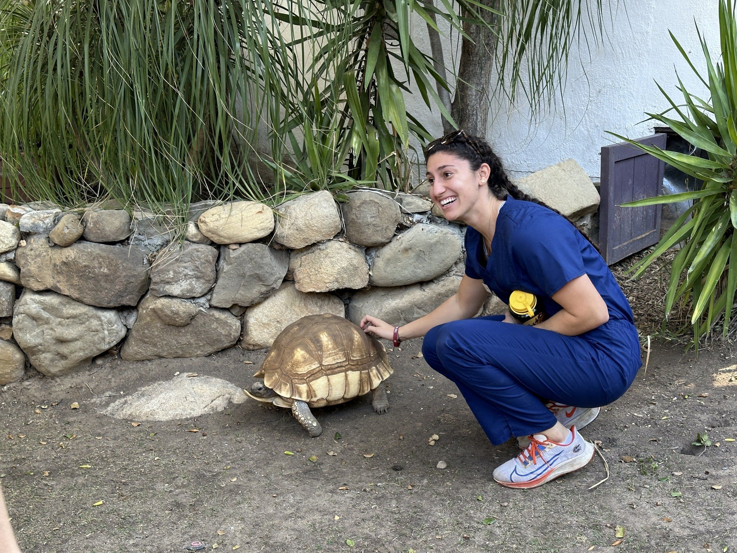 Turtle Conservancy and Western University Team Up To Train the Next Generation of Wildlife Veterinarians