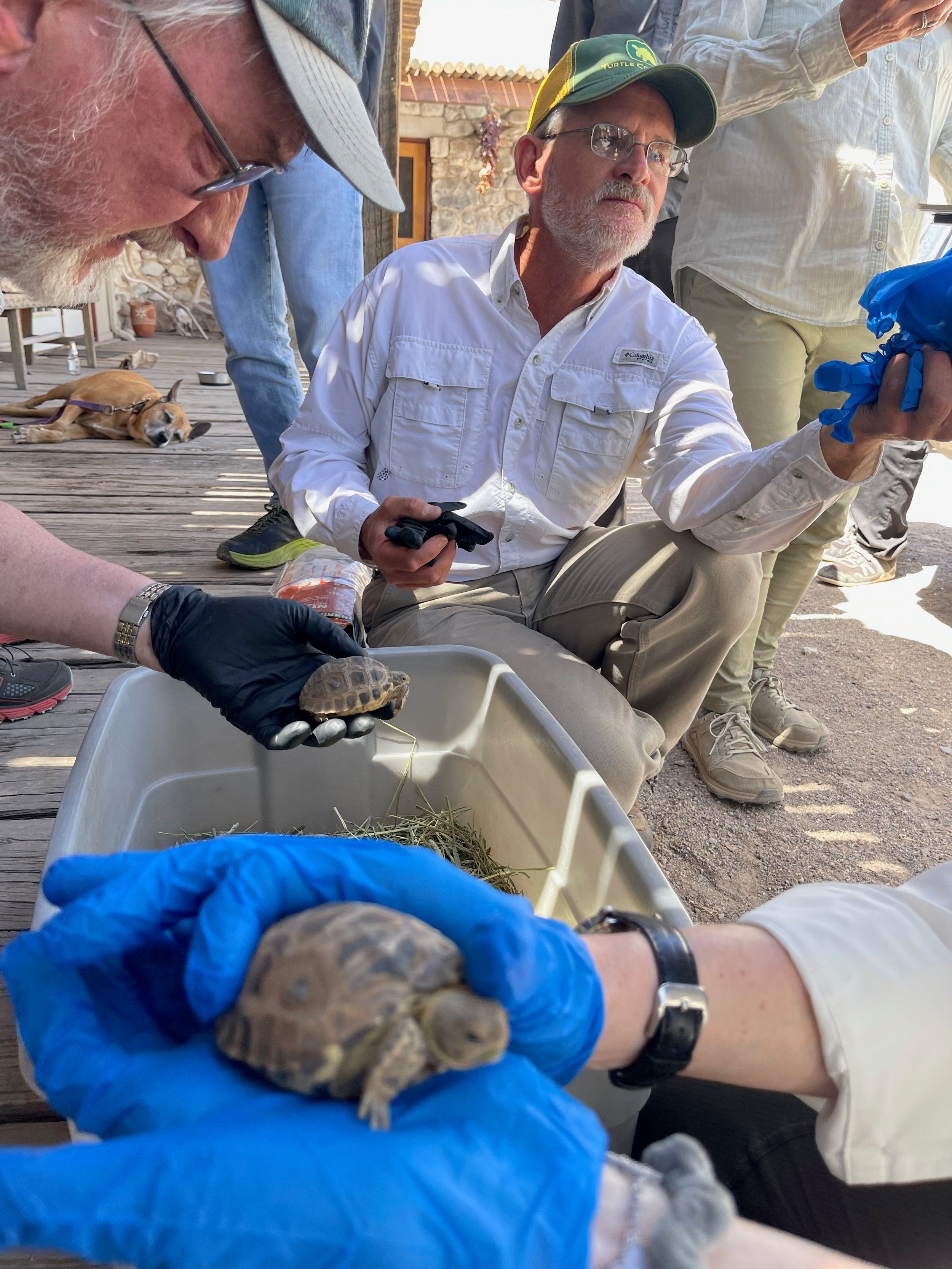 Ted Turner Saves Tortoises