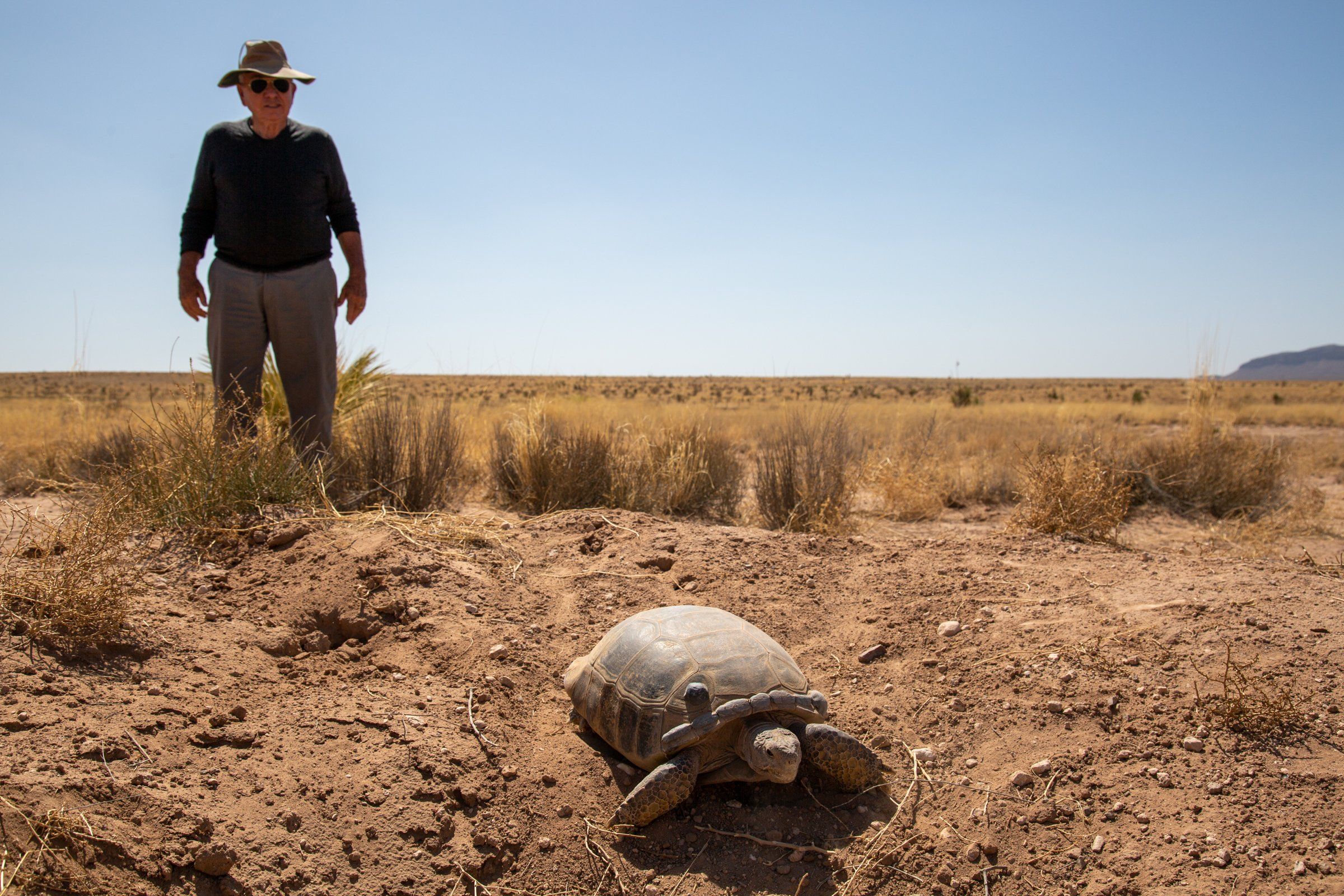 Ted Turner Saves Tortoises