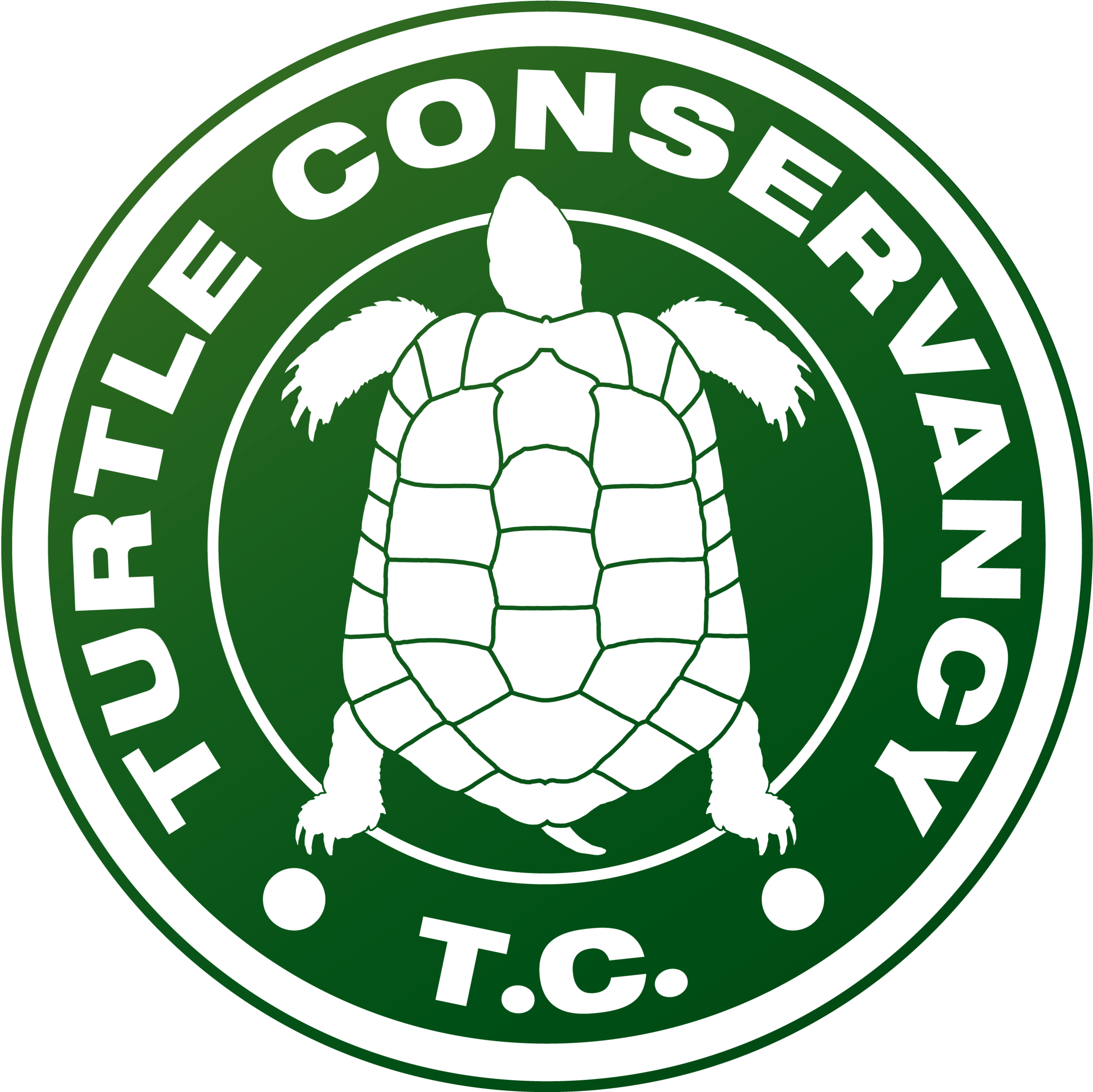 CITES Meeting: Turtle Conservationists Urge Immediate Action To End Poaching Of Ploughshare Tortoise