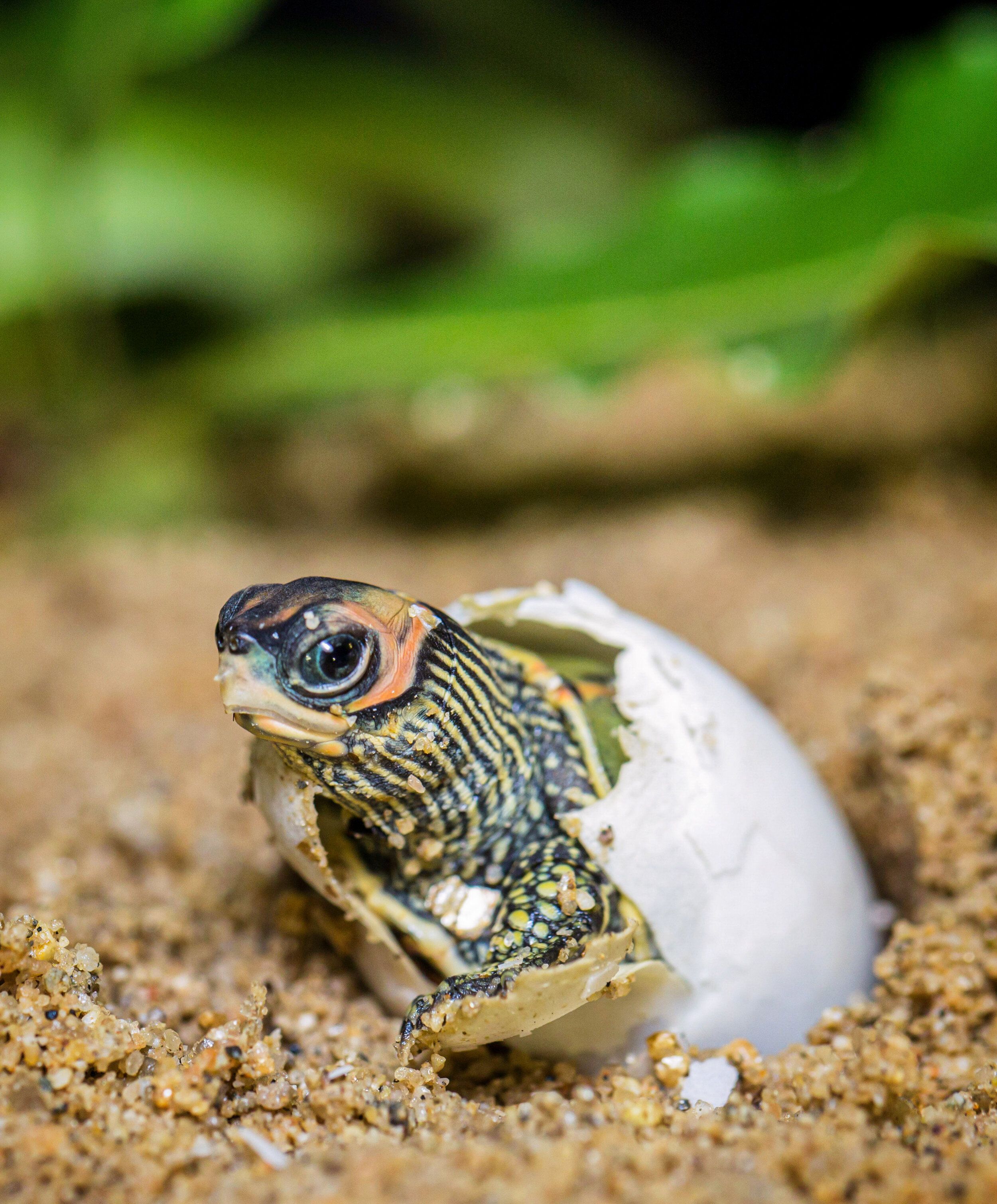 Conservation Center Updates