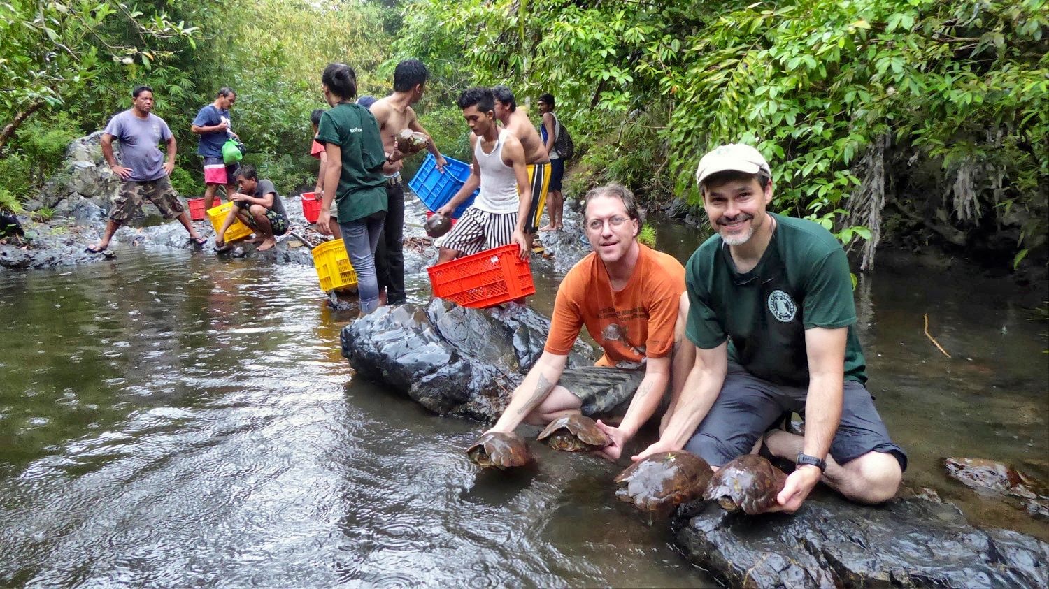 UPDATE: Philippine Forest Turtle Rescue