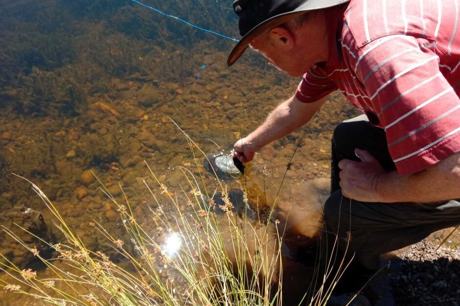 Wildfires Devastate Wildlife in Australia