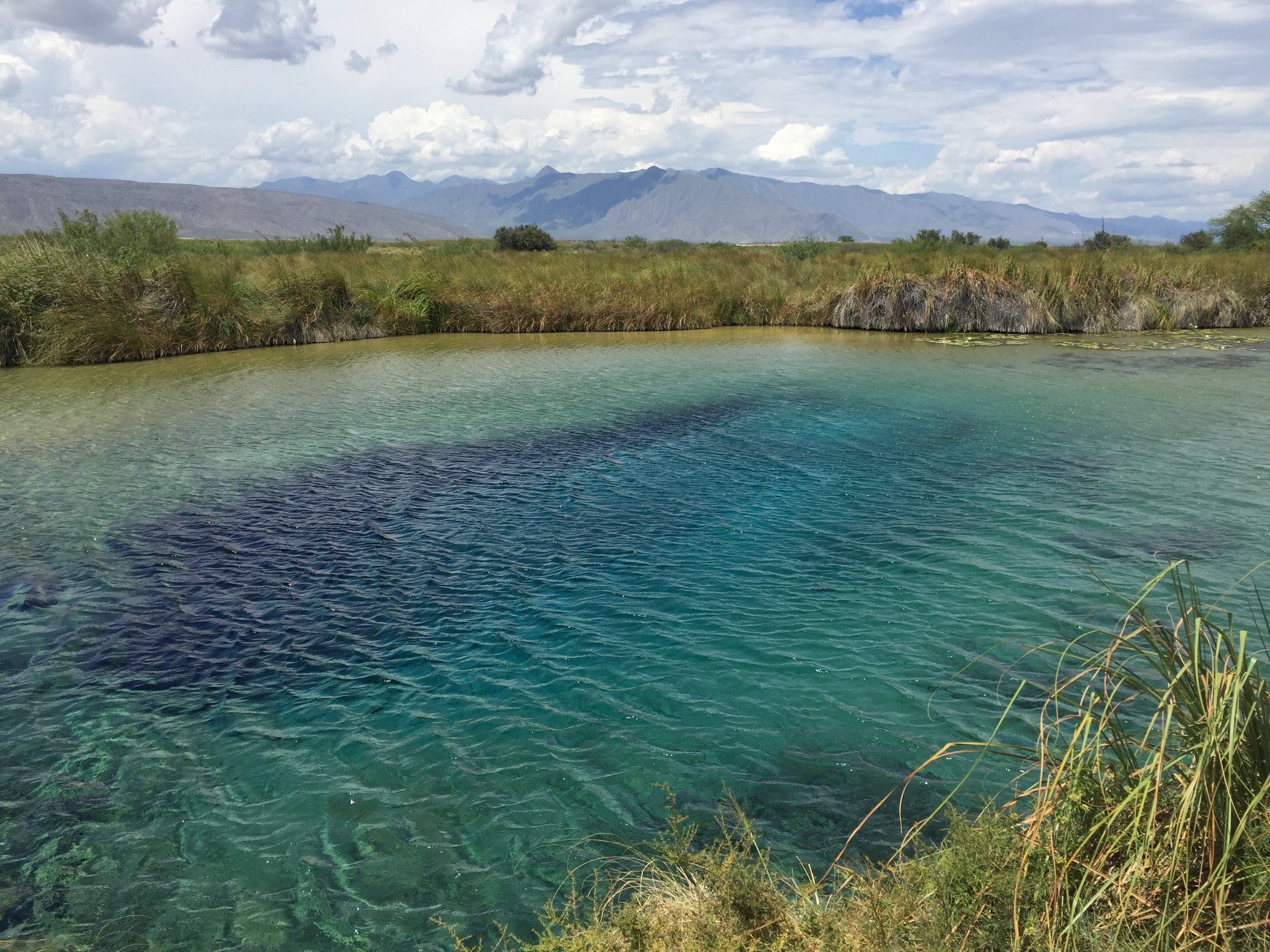 In the Field: Mexico