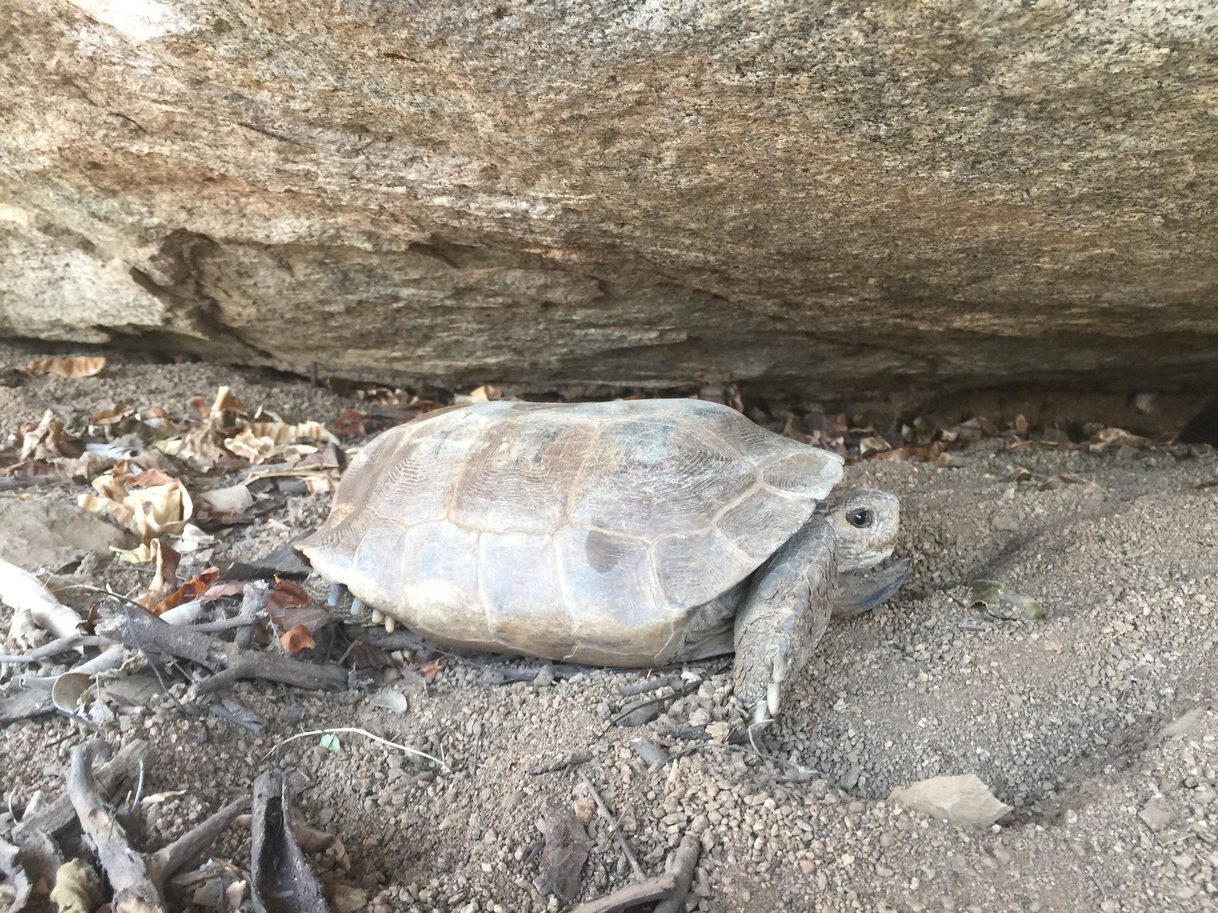 In the Field: Mexico