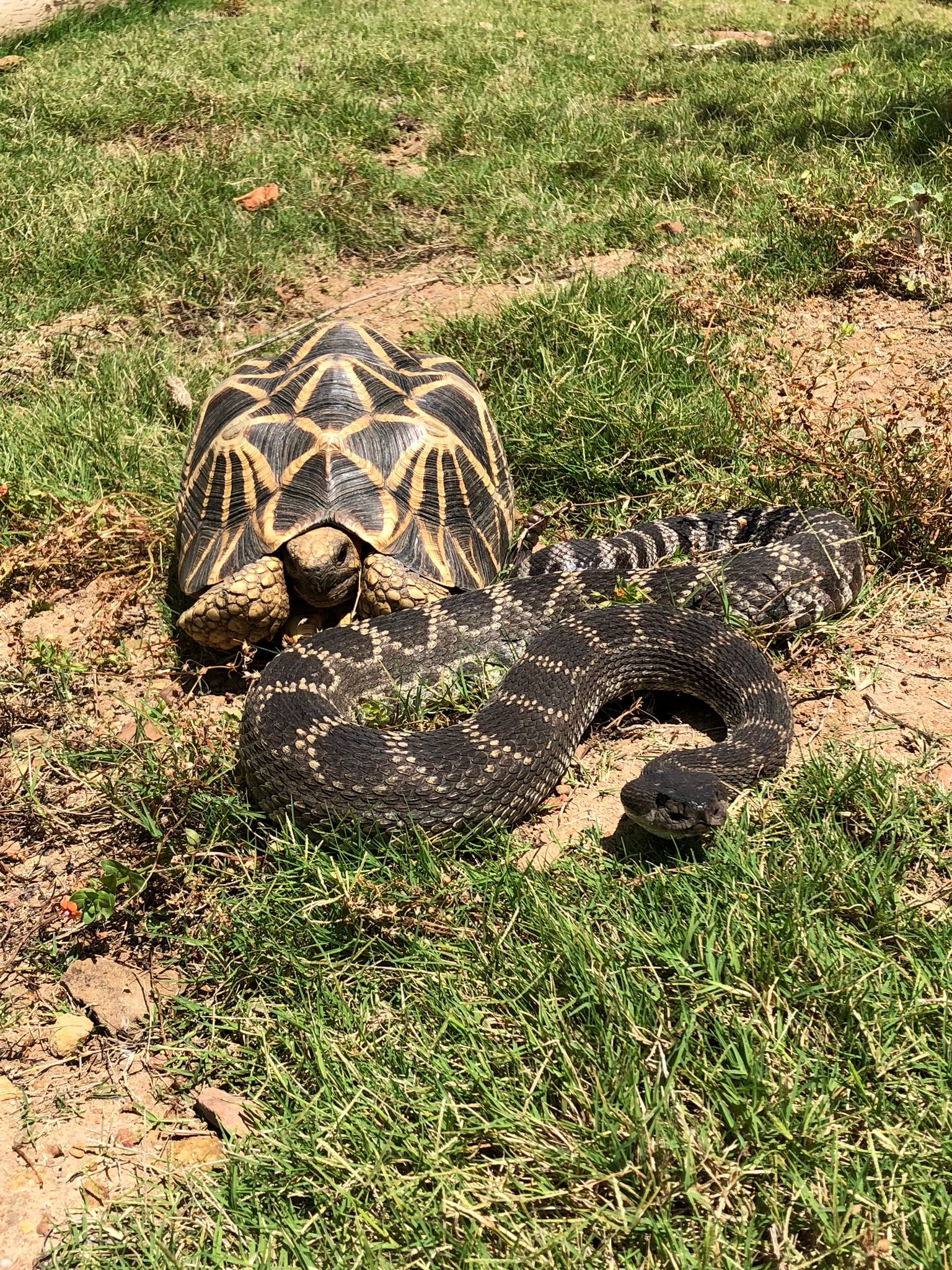 Conservation Center Updates