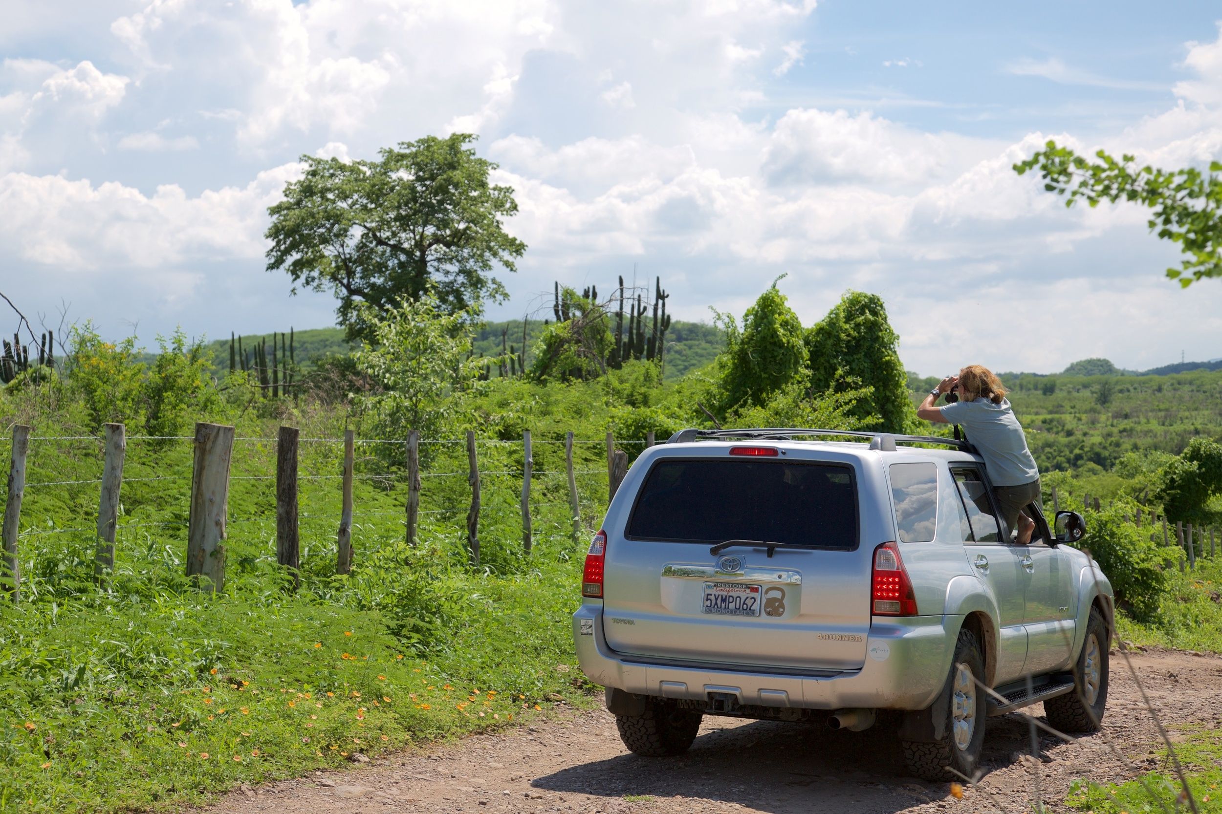 Saving a Mountain in Mexico