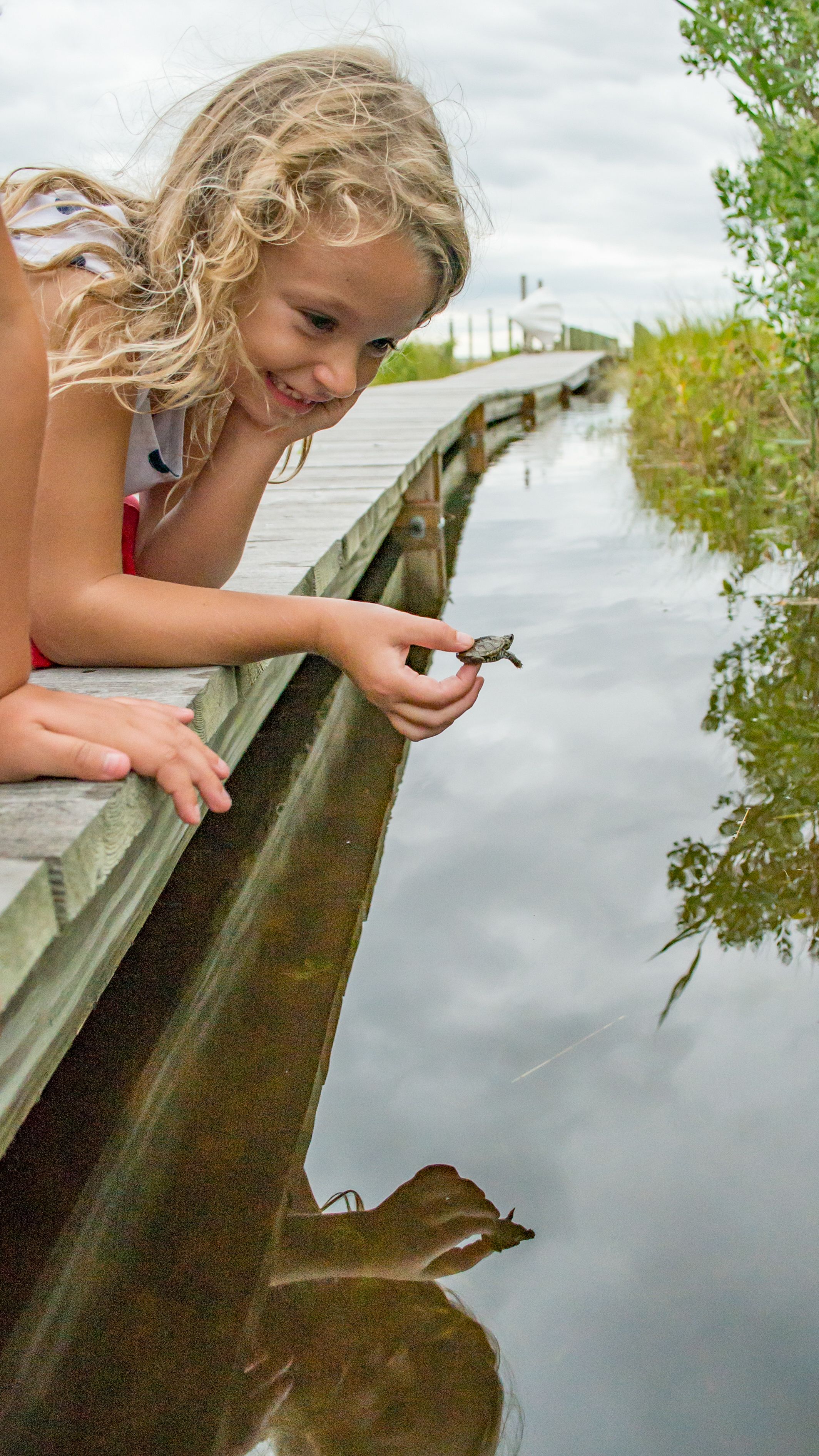 Terrapin Nesting Project