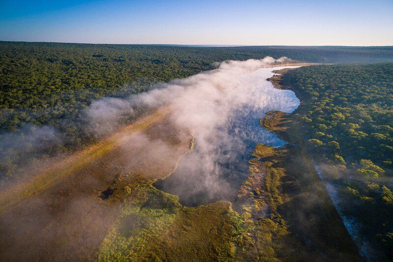 Save The Okavango