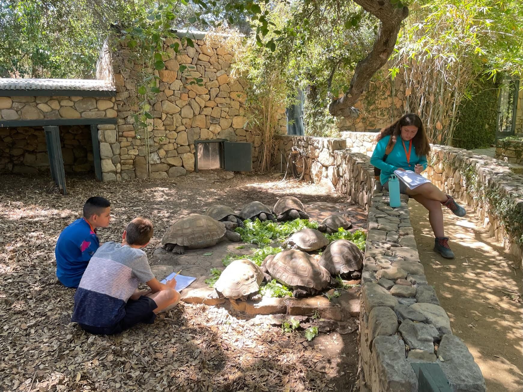 A Look Inside Turtle Camp